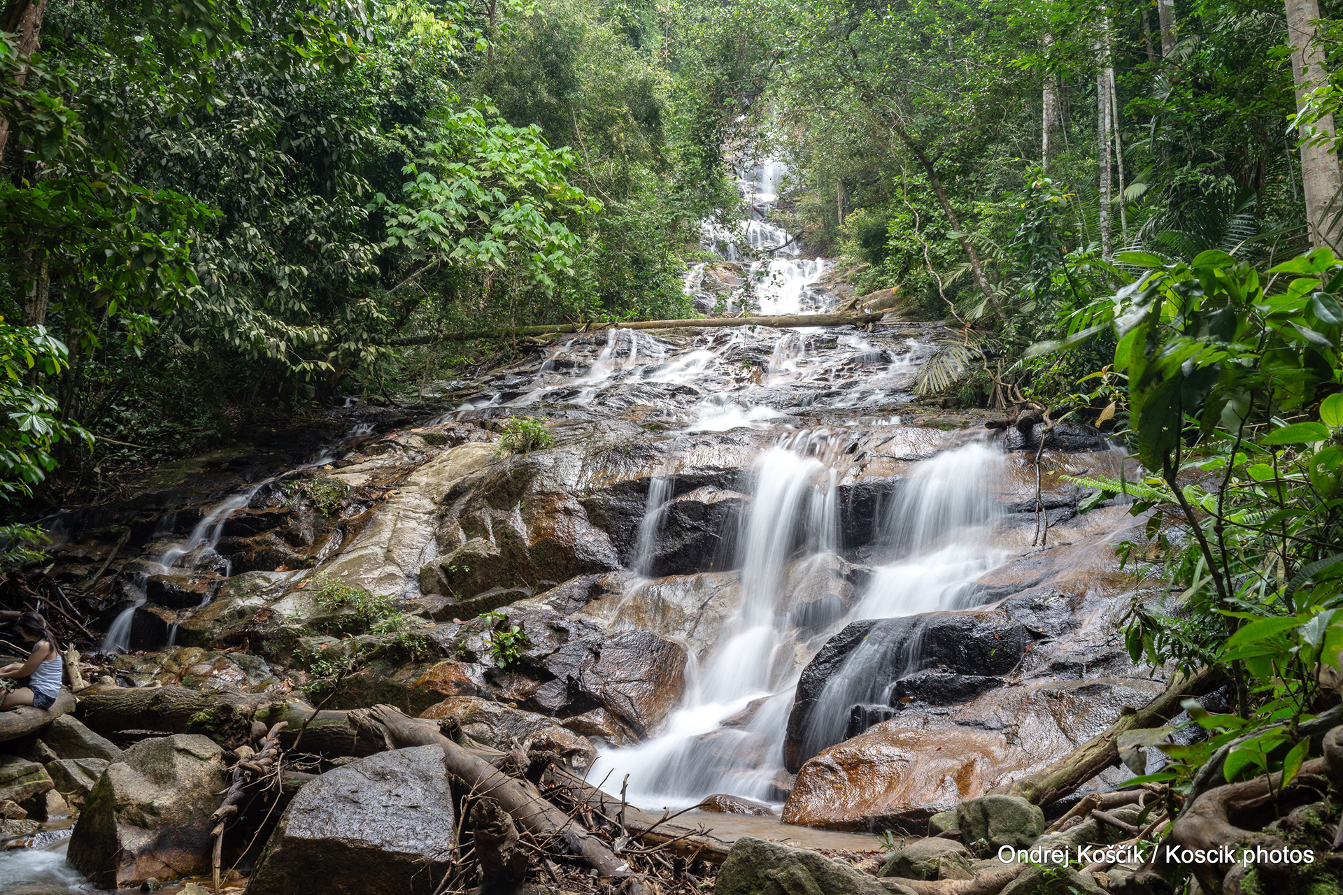 Koscik Photos - 2019-01-27 Waterfall Forest Park Kanching