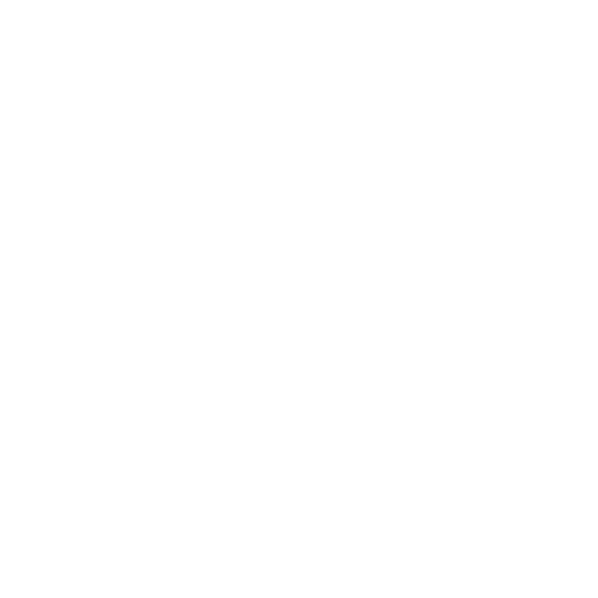 Randy Mills
