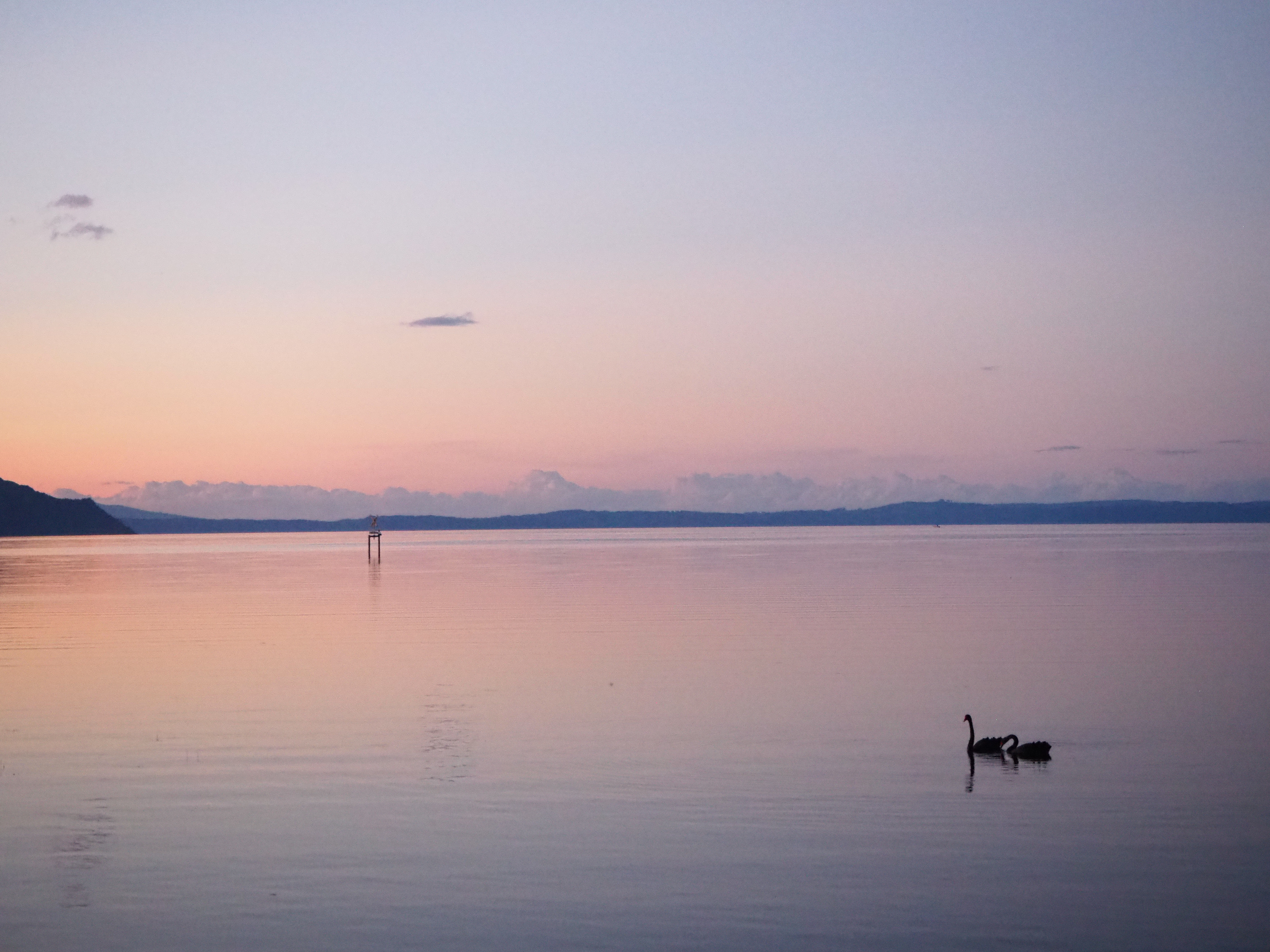 Lake Taupo. New Zealand