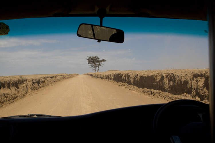 Masai Mara; KENYA; DIRT ROAD; TRANSPORTATION; Africa; Animals; Field; Landscape; Sightseeing; Tourism; Expanse; Endless; Distance; sand.