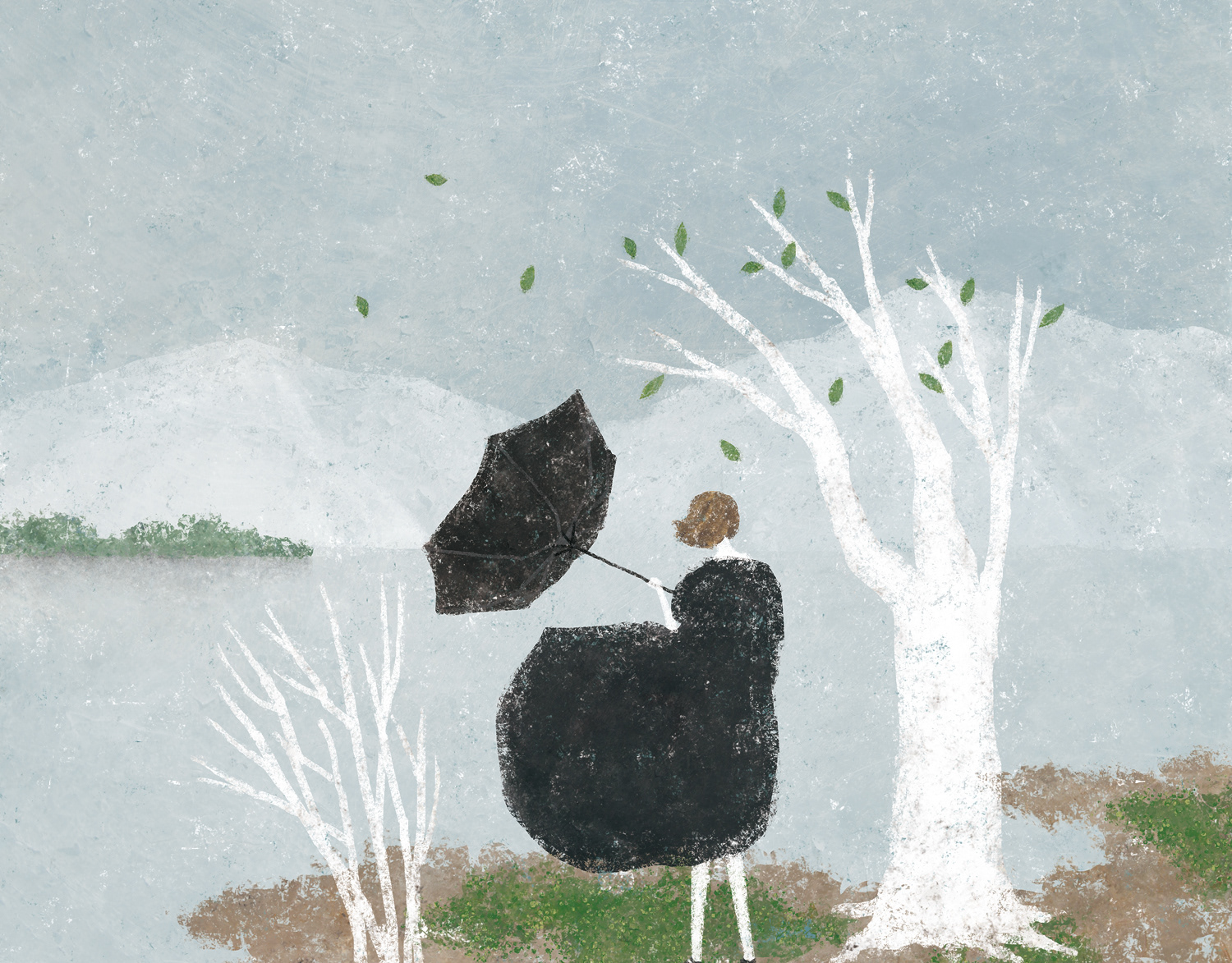 日下 明 Akira Kusaka