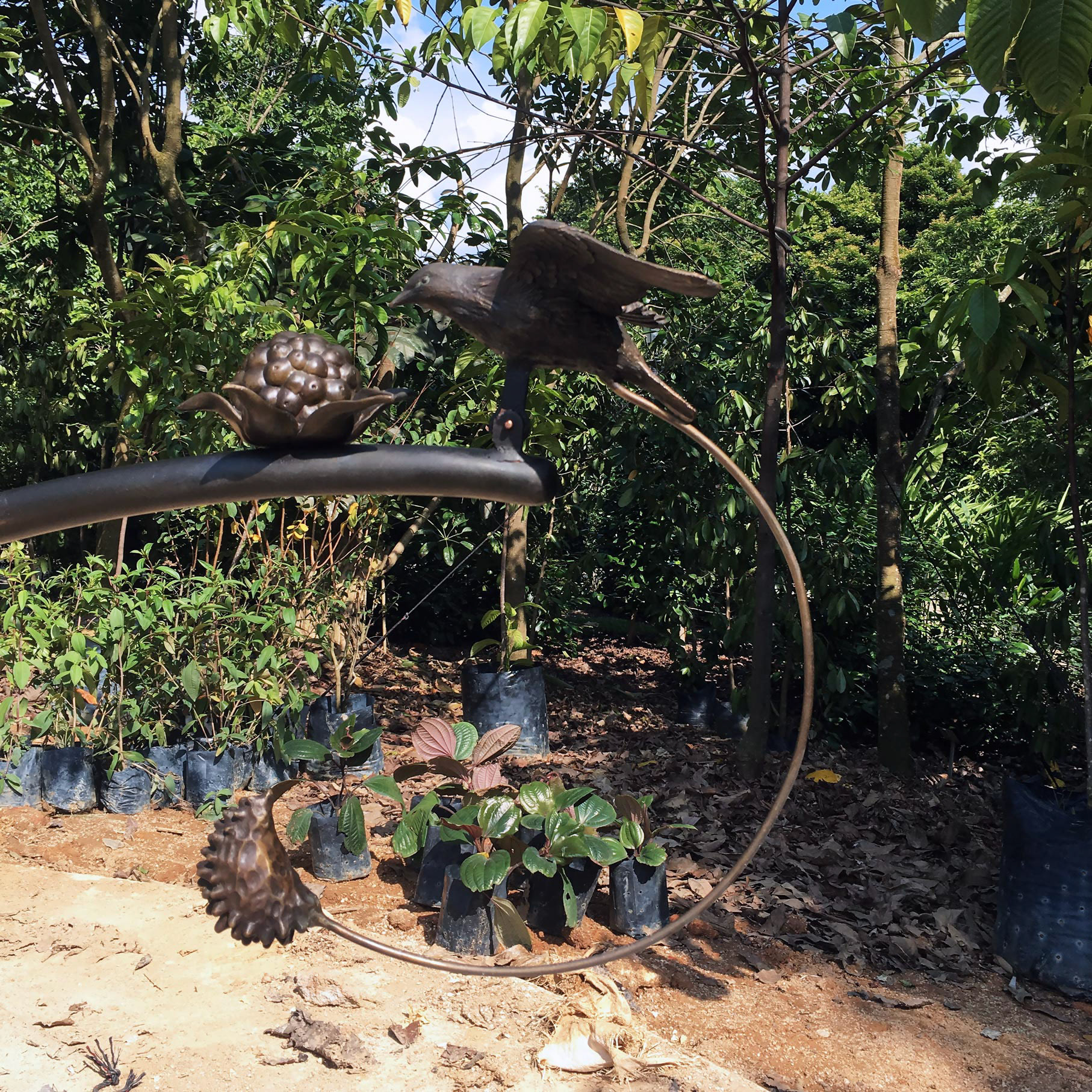 Interactive Birds . Orange-bellied Flowerpecker & Rubus Moluccanus (fruit & seed) . Brass . 2019