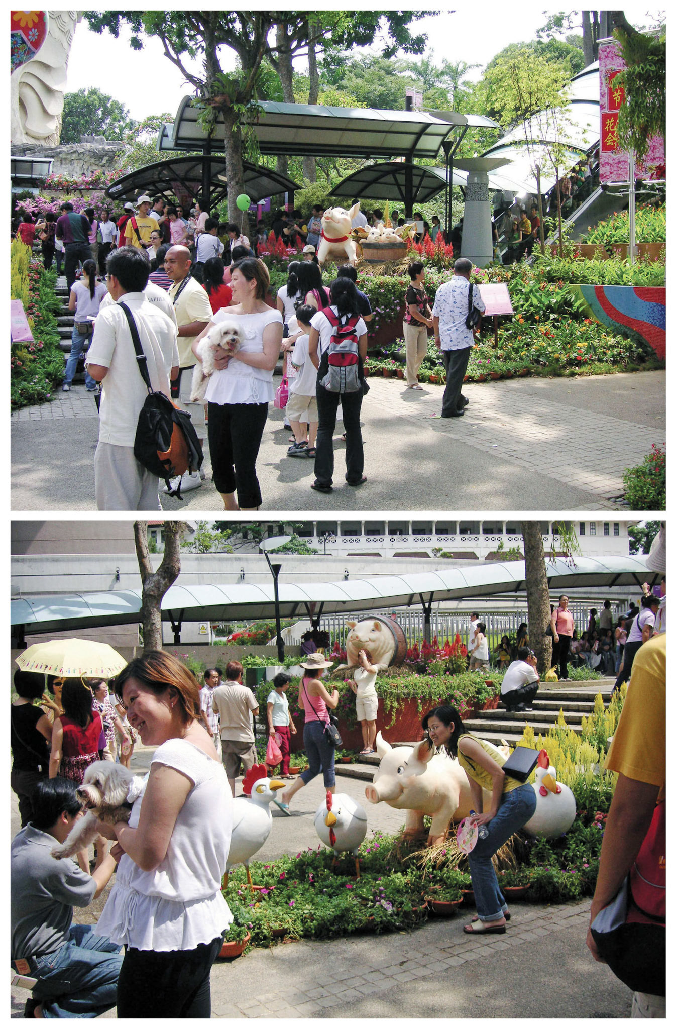 Sentosa Flowers 2007