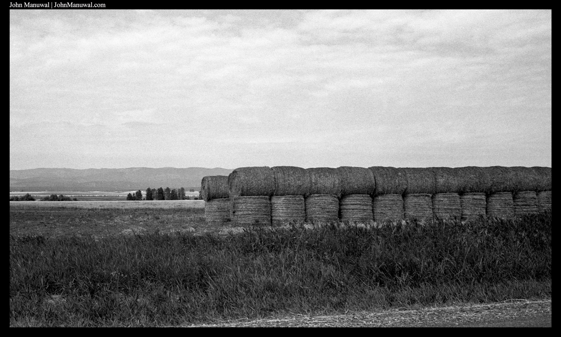 2020 35mm Film Photograph