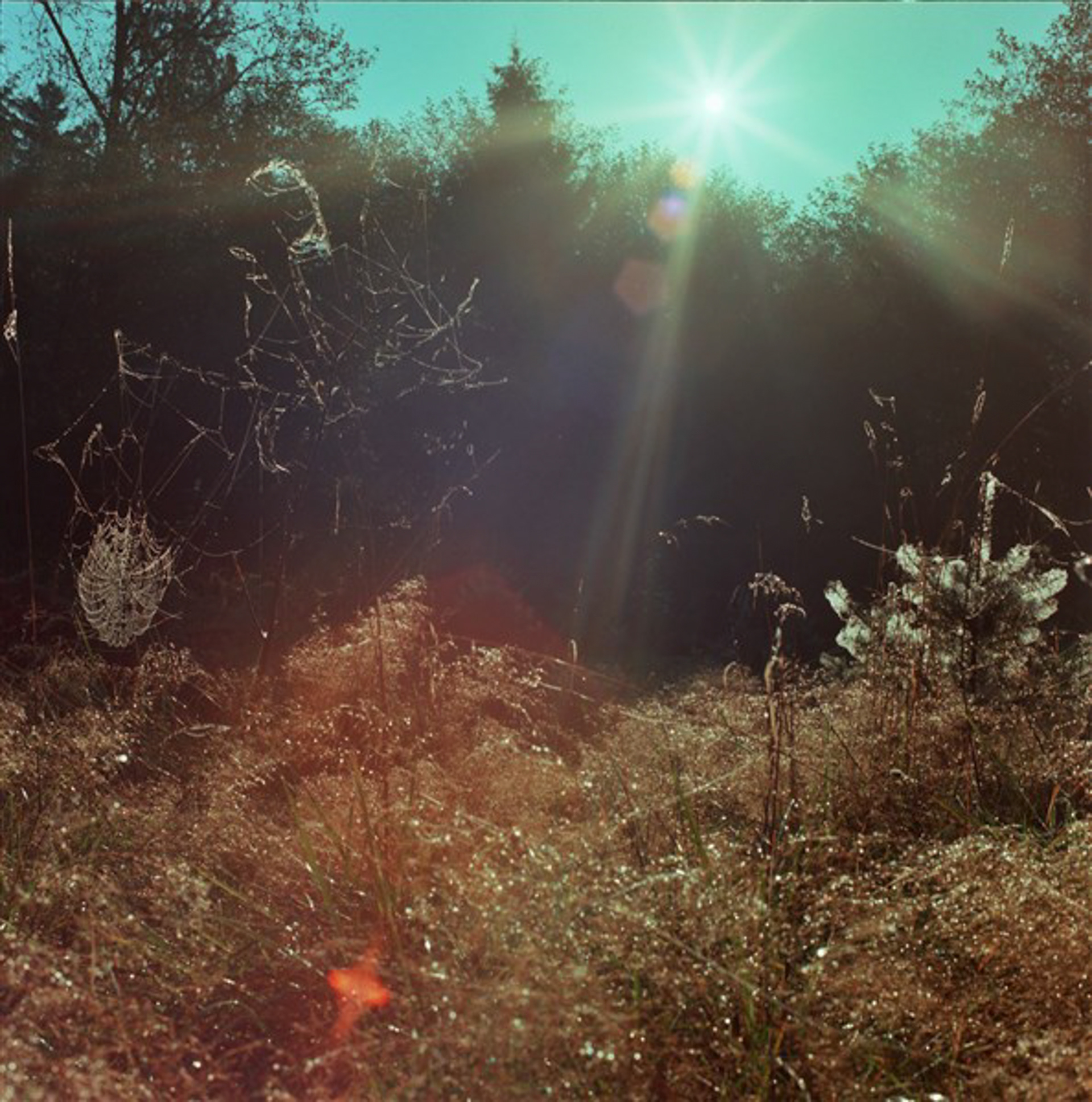 2012 6x6 Film Photograph