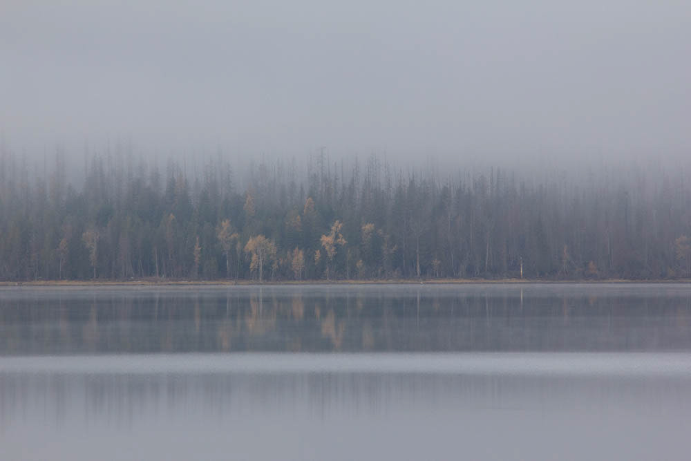 2021 Multiple Digital Photographs merged