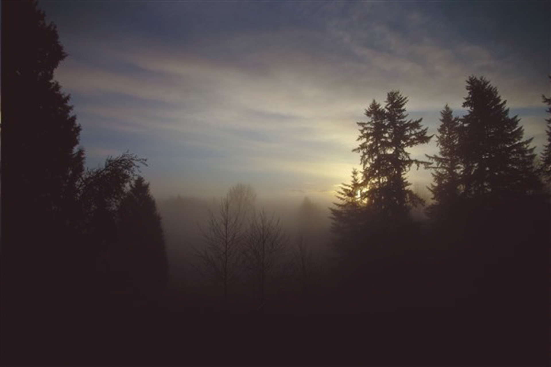 2017 Digital Photograph