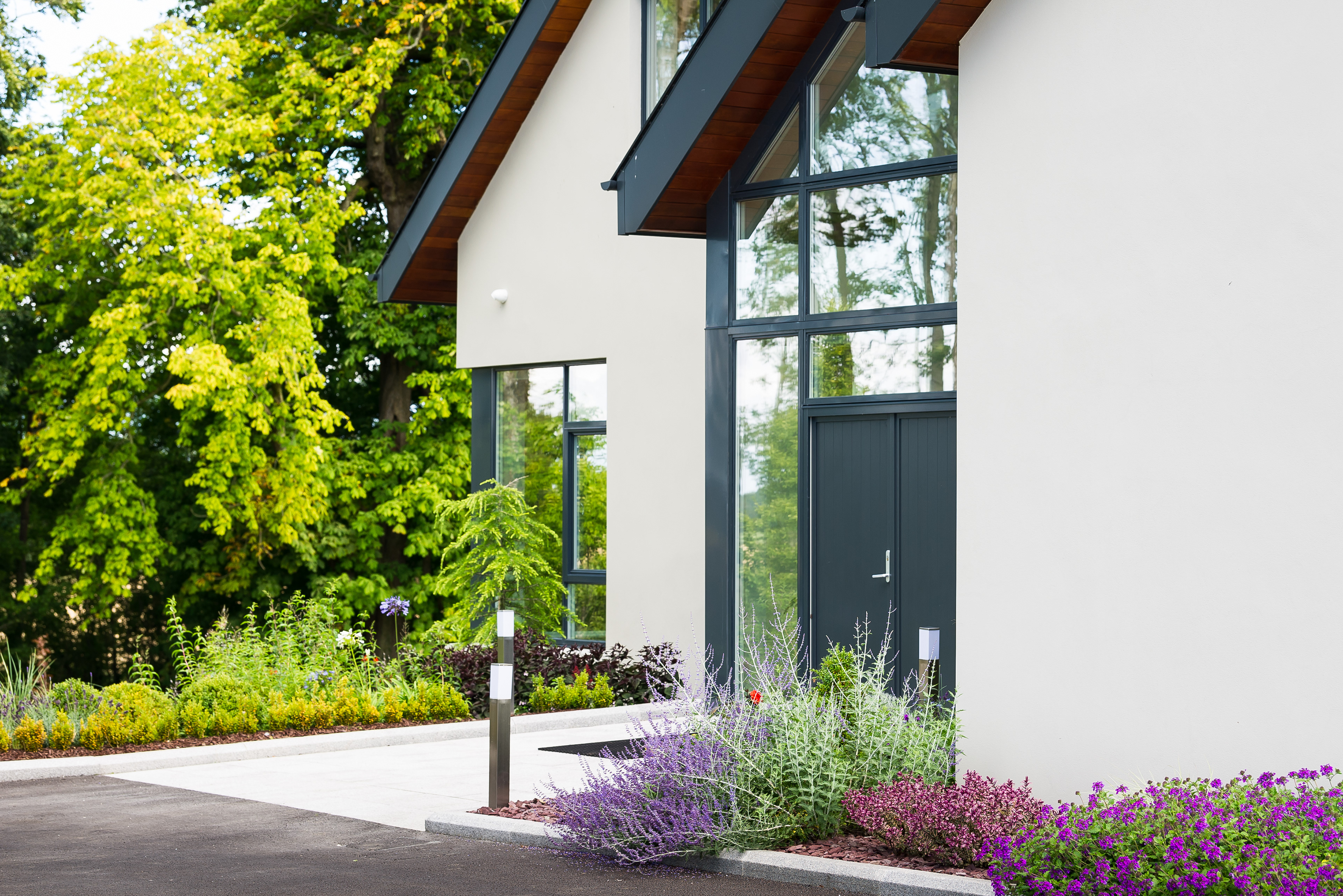 Daithi Taylor Leinster Wood Ireland