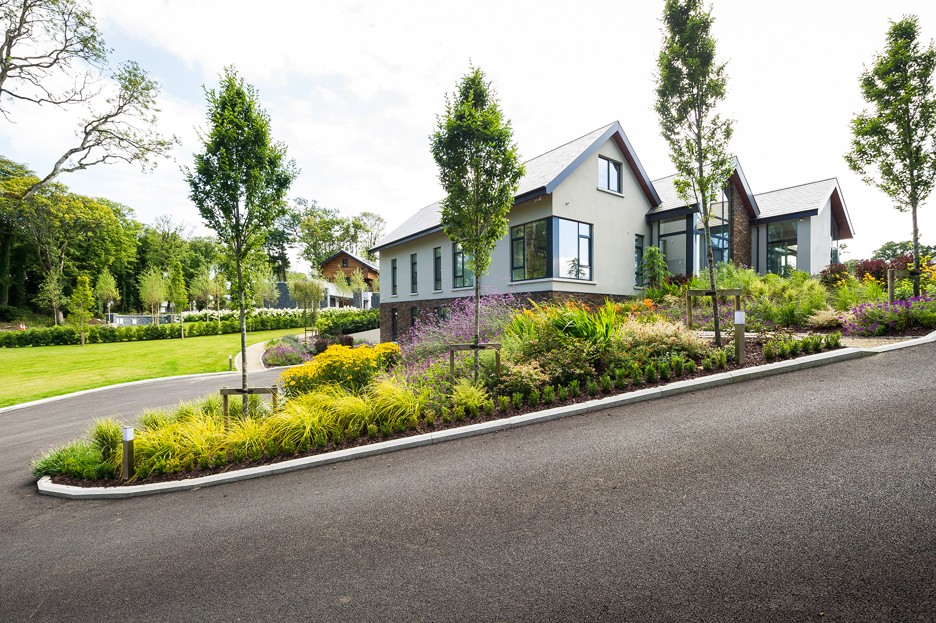 Daithi Taylor Leinster Wood Ireland