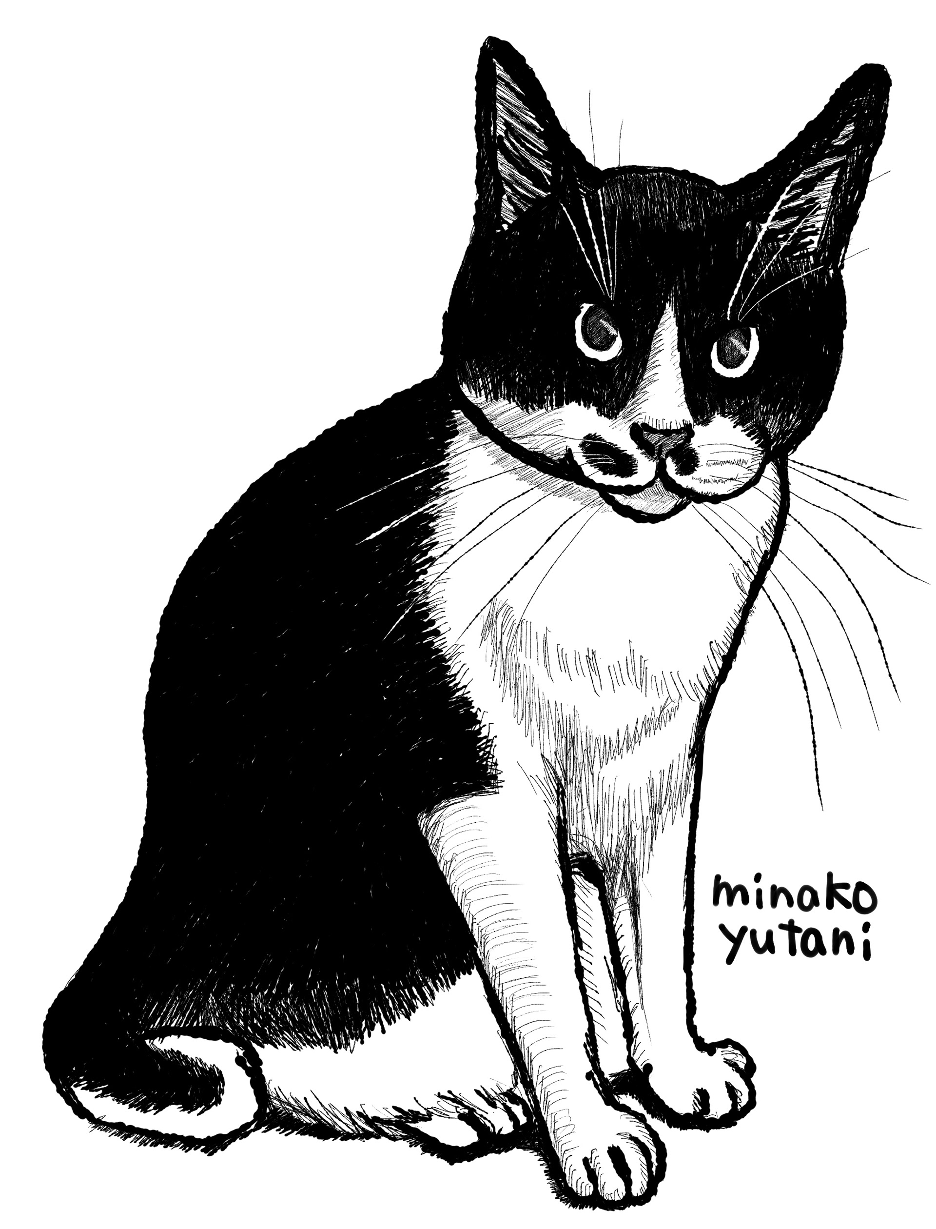 イラスト制作 Minako Yutani ペット似顔絵イラスト