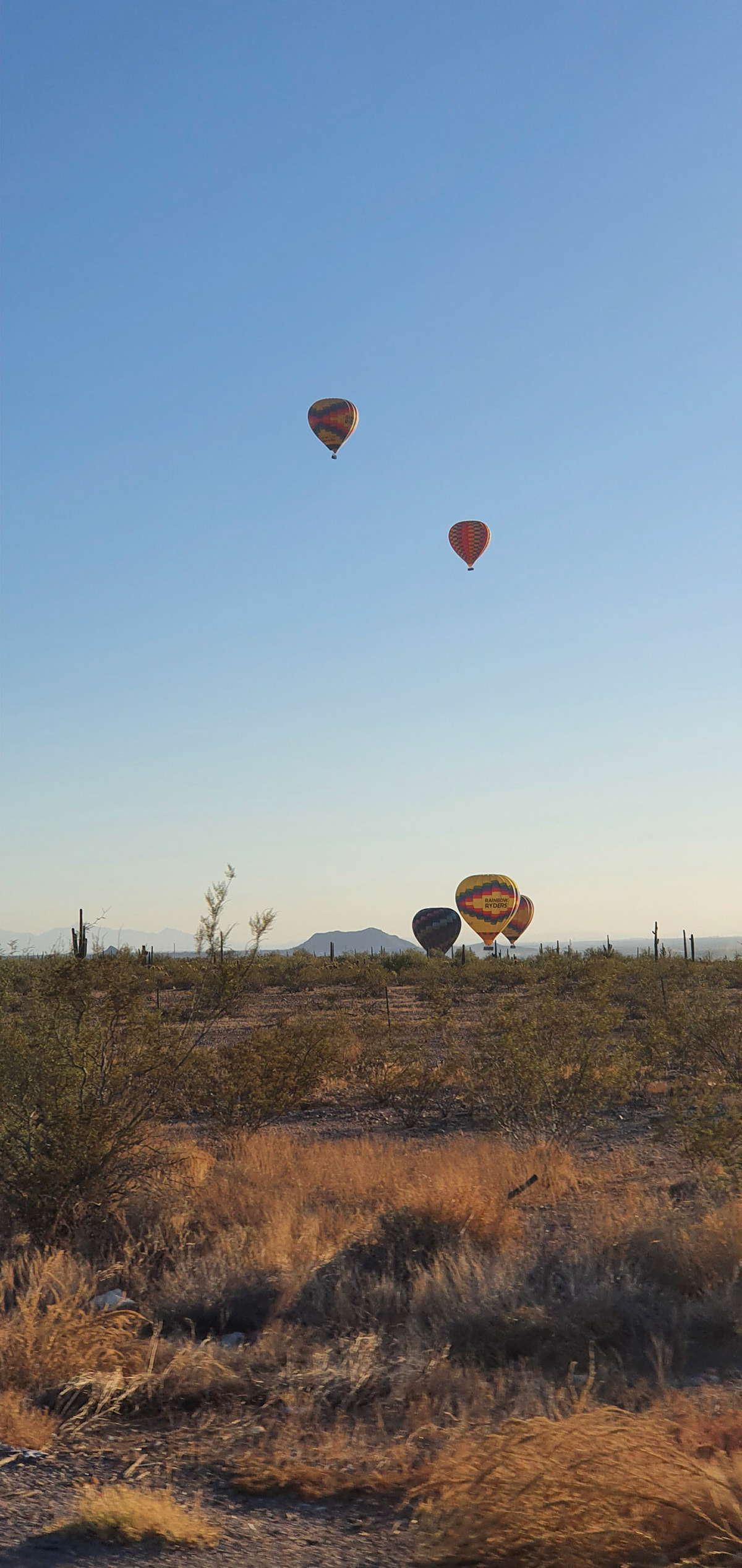 Mini Balloonapalooza
