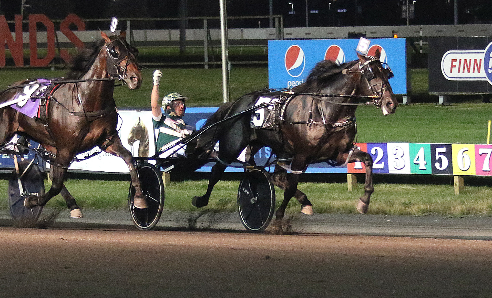 Meadowlands Pace