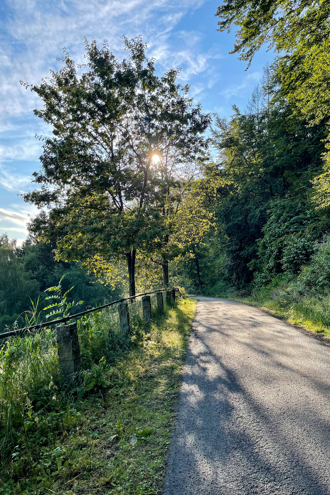 Fischereilehrpfad an der Sösetalsperre