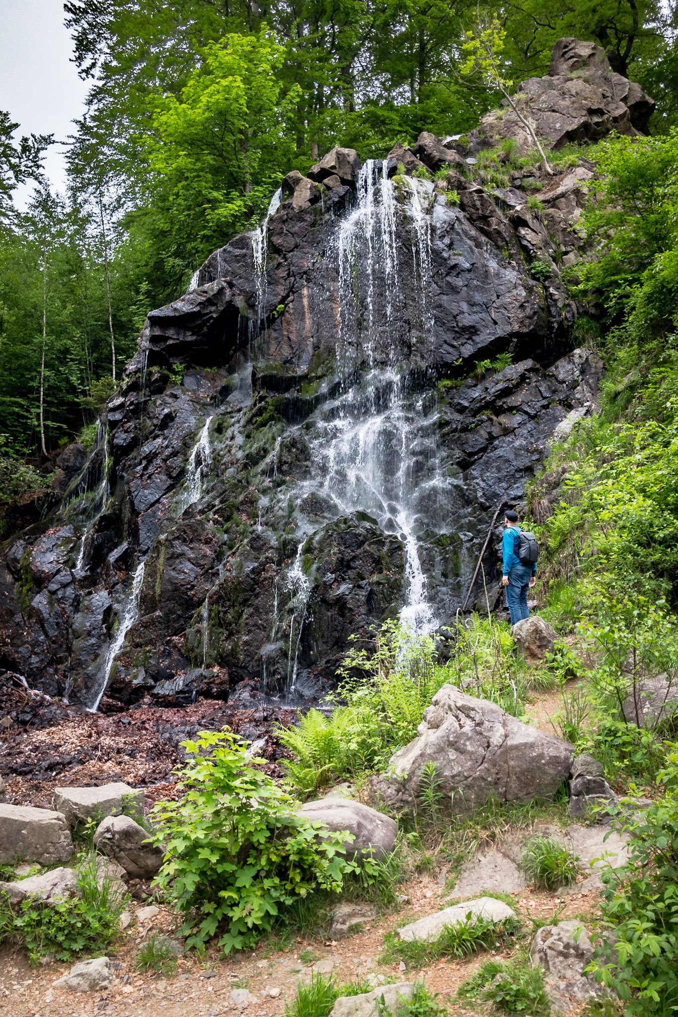 Apple iPhone 8 | iPhone 8 back camera 3.99mm f/1.8 @ ISO 20 | 3.99 mm | f/1.8 | 1/2300 s