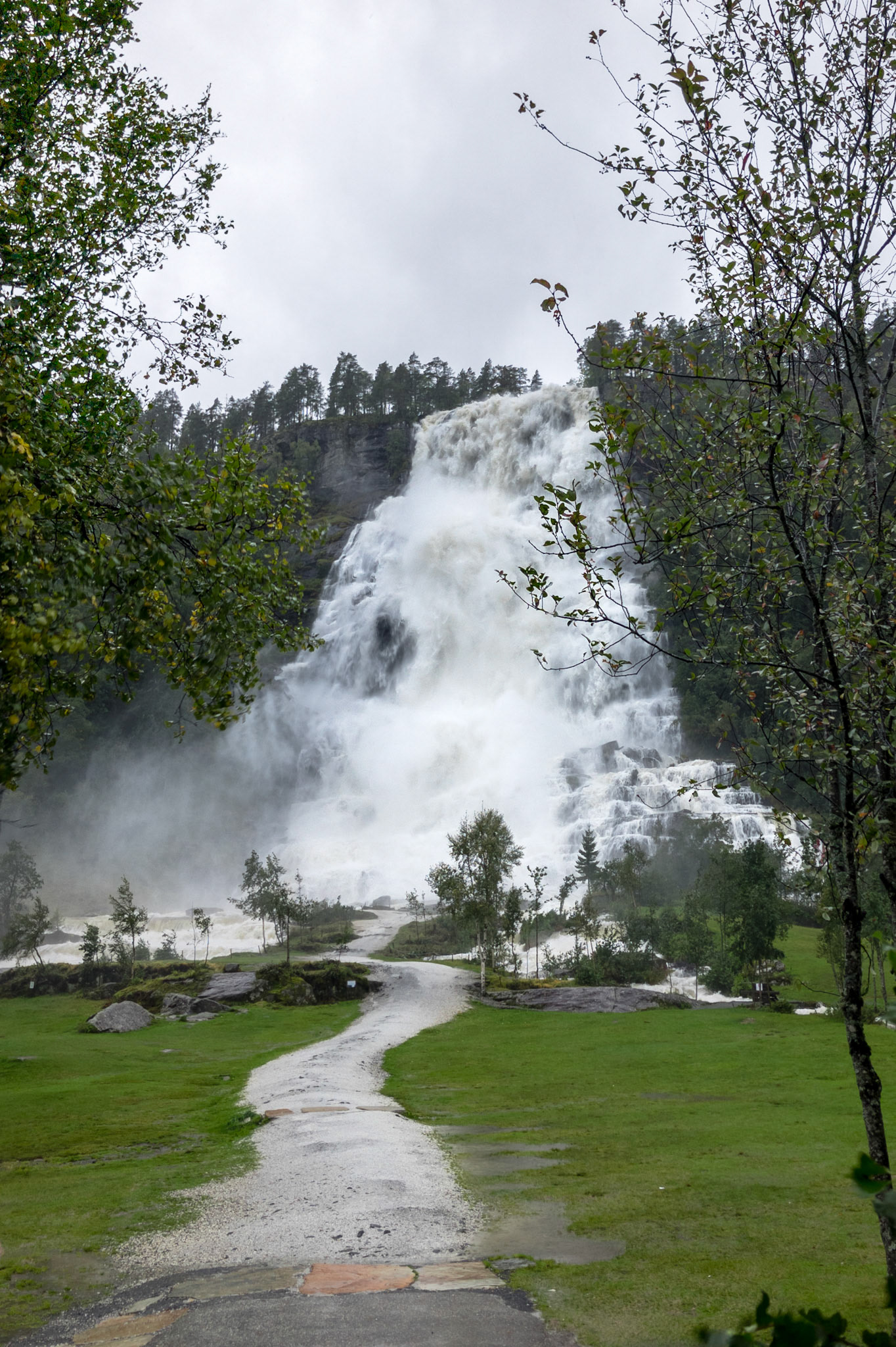 Apple iPhone 8 @ ISO 20 | 3.99 mm | f/1.8 | 1/450 s