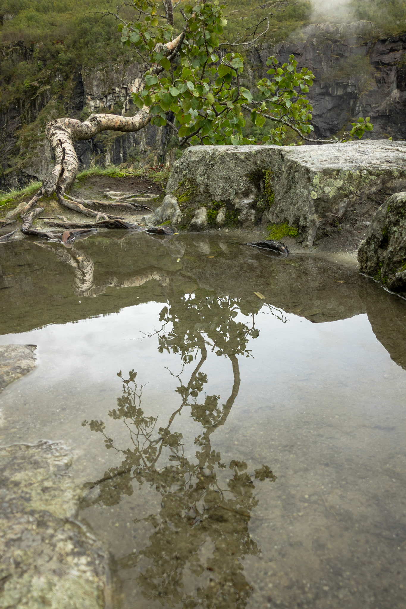 Apple iPhone 8 @ ISO 20 | 3.99 mm | f/1.8 | 1/1600 s