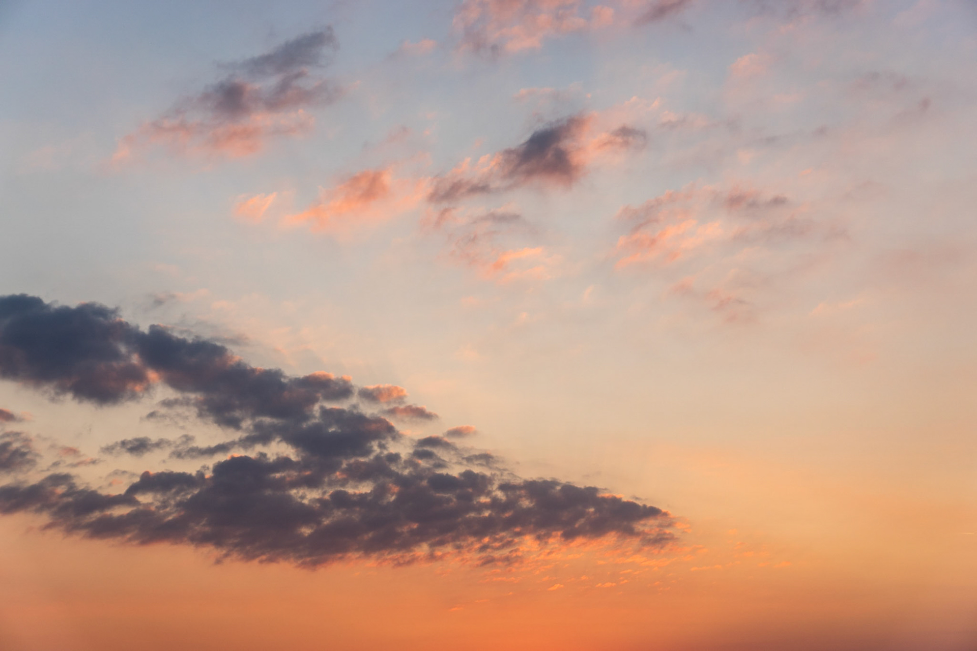 ISO 100 | 50 mm | f/4 | 1/320 s