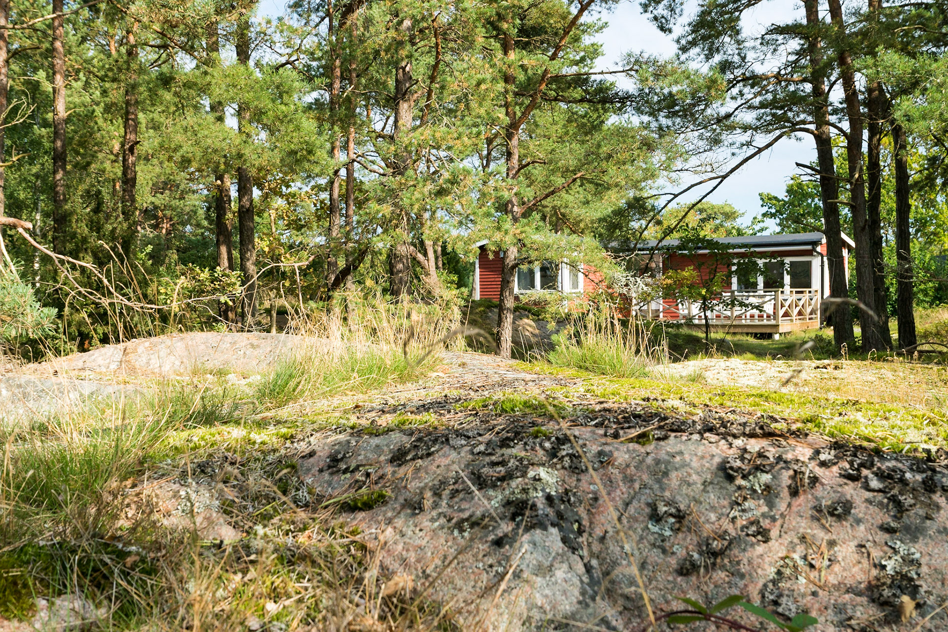 ISO 100 | 24 mm | f/8 | 1/100 s