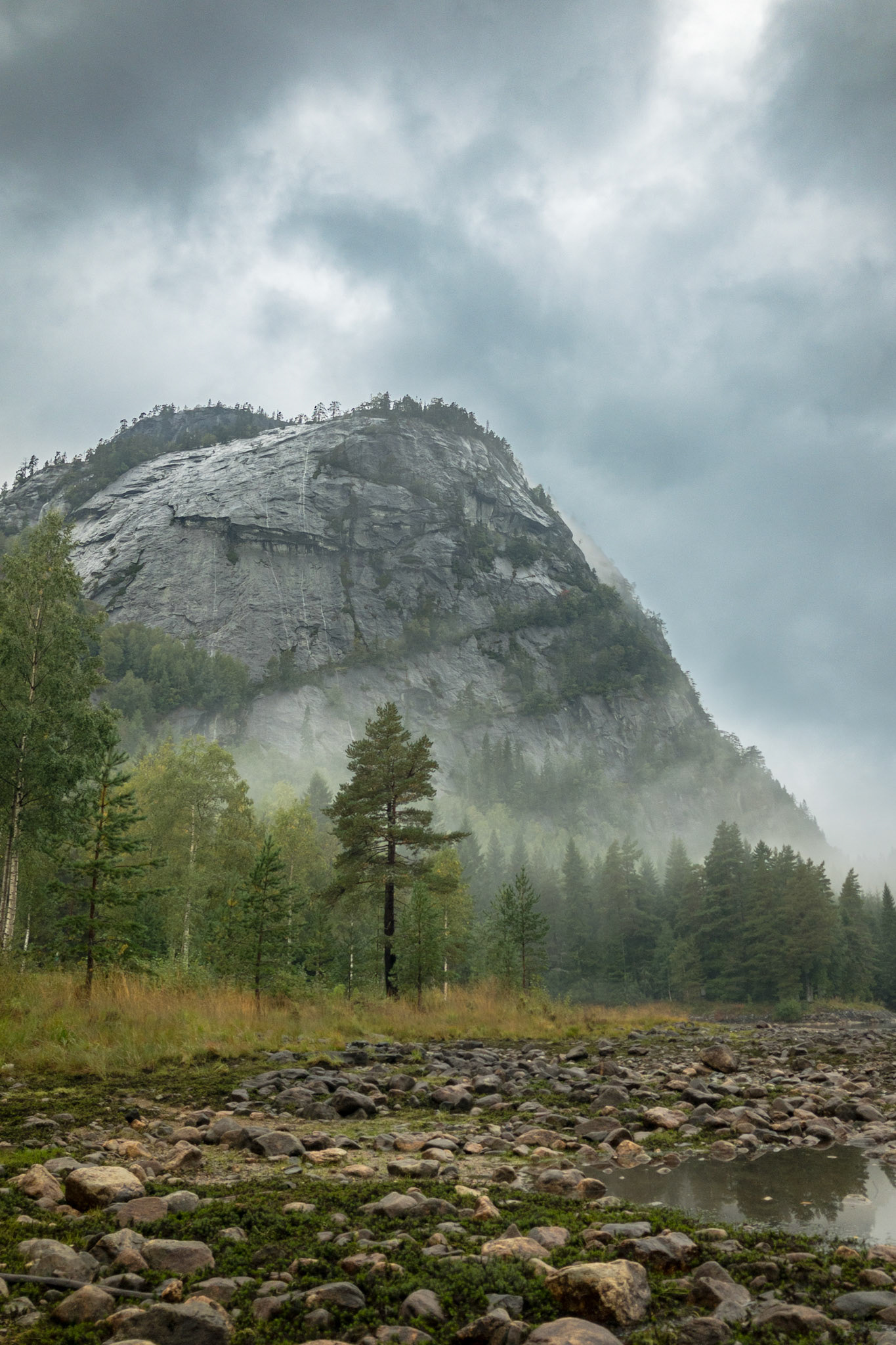 Apple iPhone 8 @ ISO 20 | 3.99 mm | f/1.8 | 1/480 s