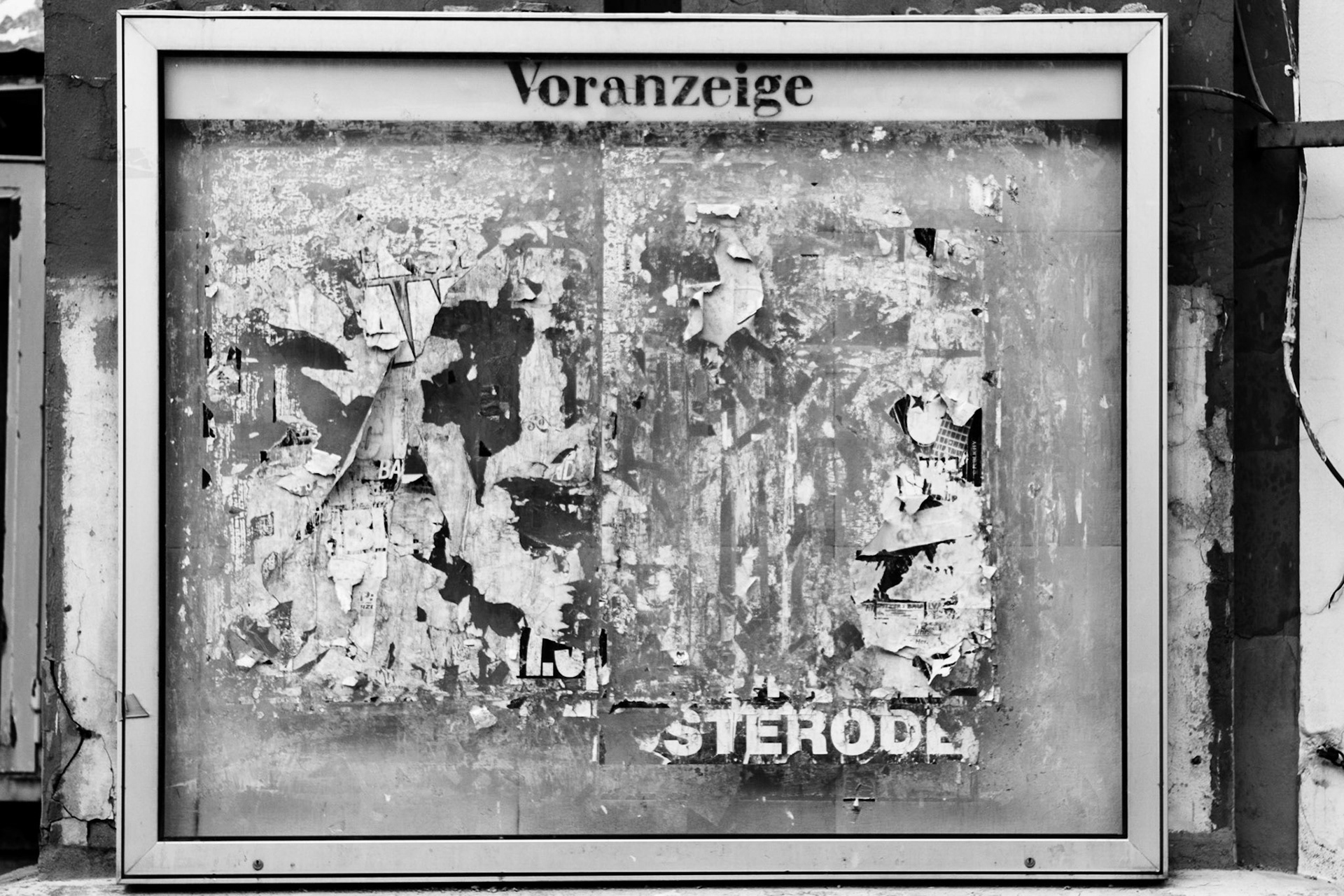 Sony ILCA-77M2 | 50mm F1.4 @ ISO 100 | 50 mm | f/2 | 1/1250 s