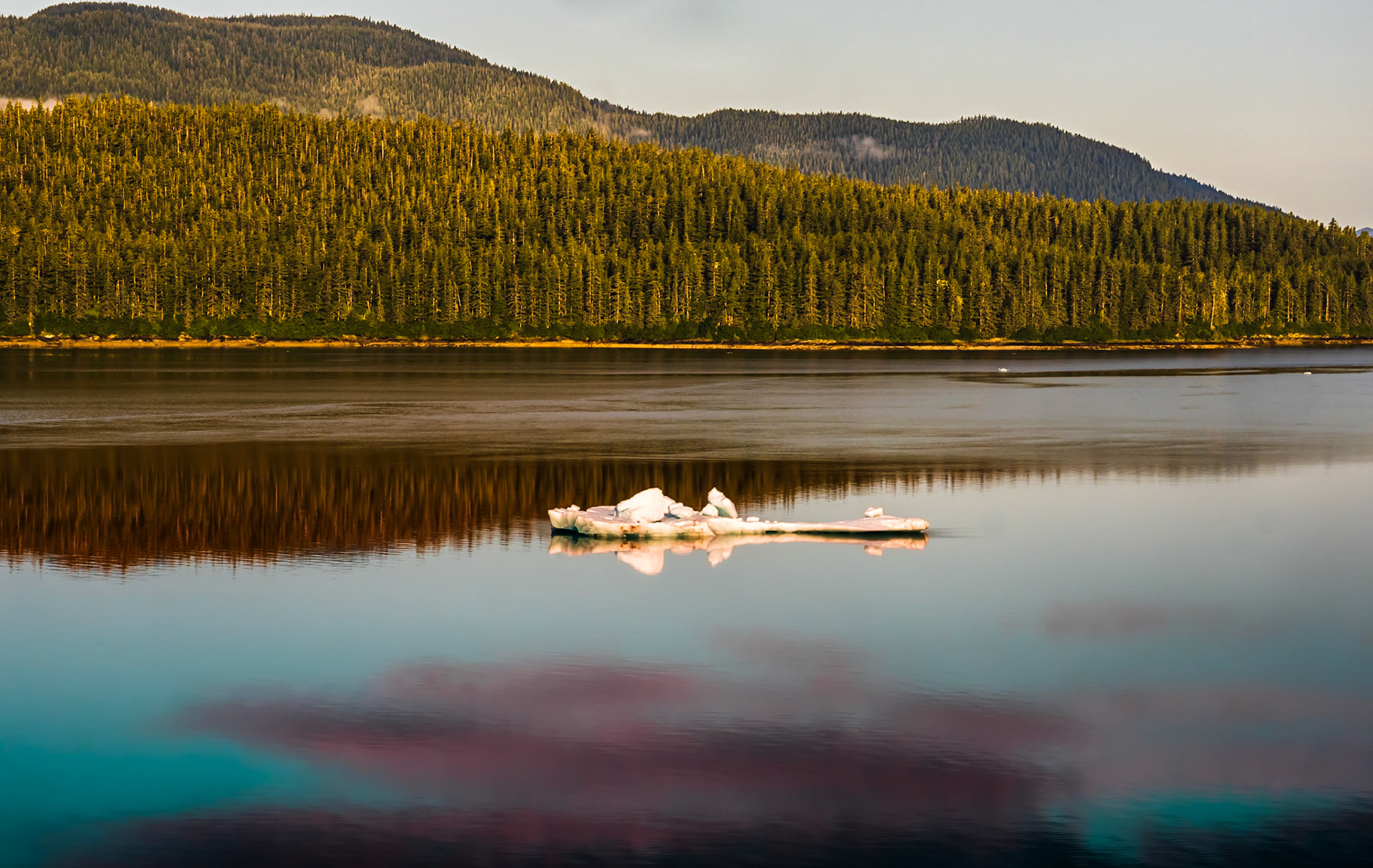 Dawes Glacier Iceflow from the Celebrity Millennium