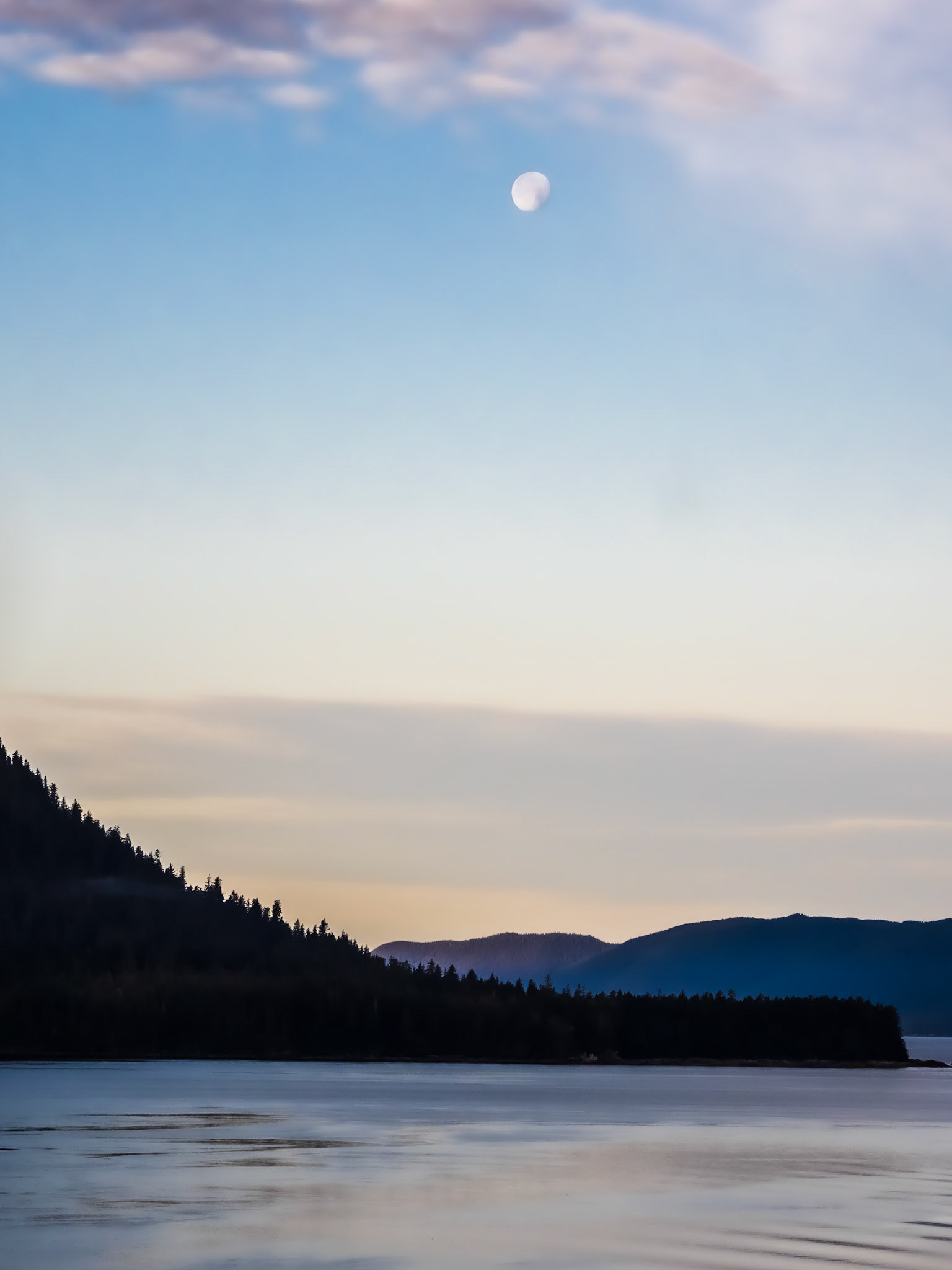 Endicott Arm Shoreline from the Celebrity Millennium
