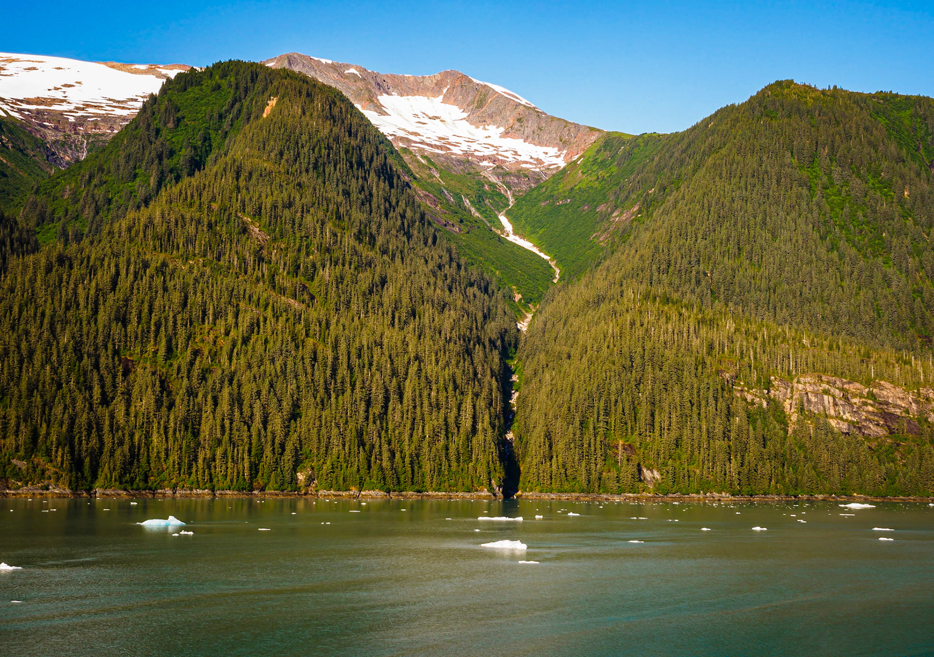Dawes Glacier Iceflow from the Celebrity Millennium