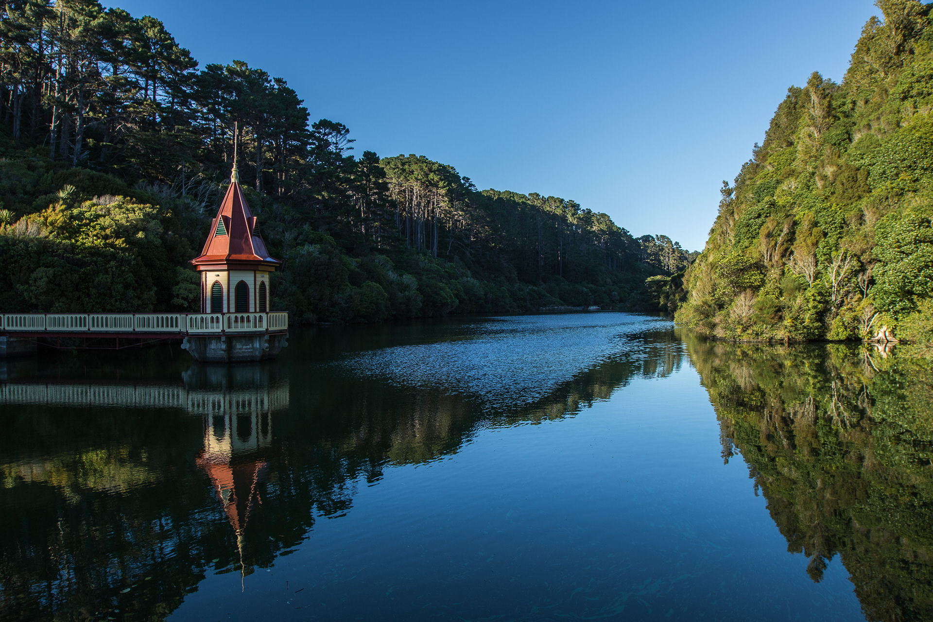 Zealandia EcoSanctuary, Wellington NZ