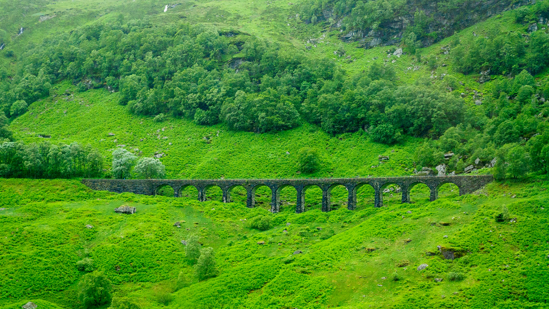 Highland Morning