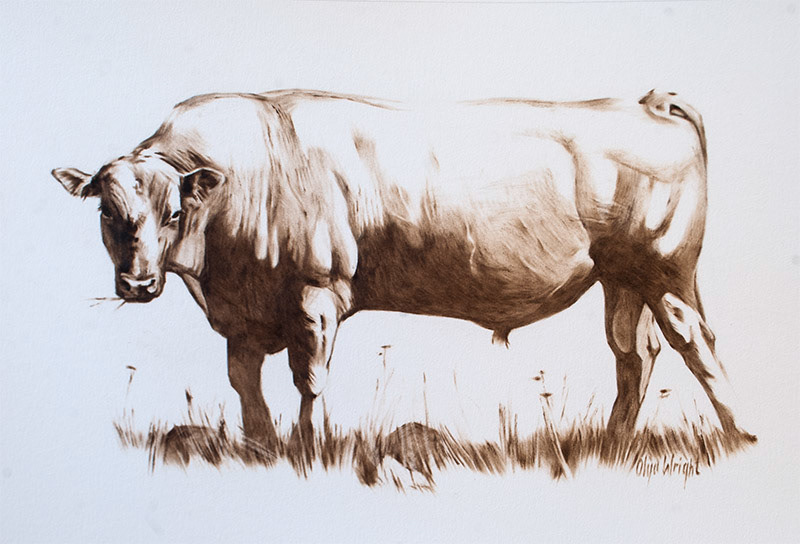 "Can I Help You?" / Dry Brush / 13" x 19" / Available at Empty Wall Gallery