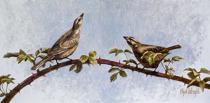 "Nice Day for a Song" / Oil on Board / 8" x 16" / Available at Empty Wall Gallery