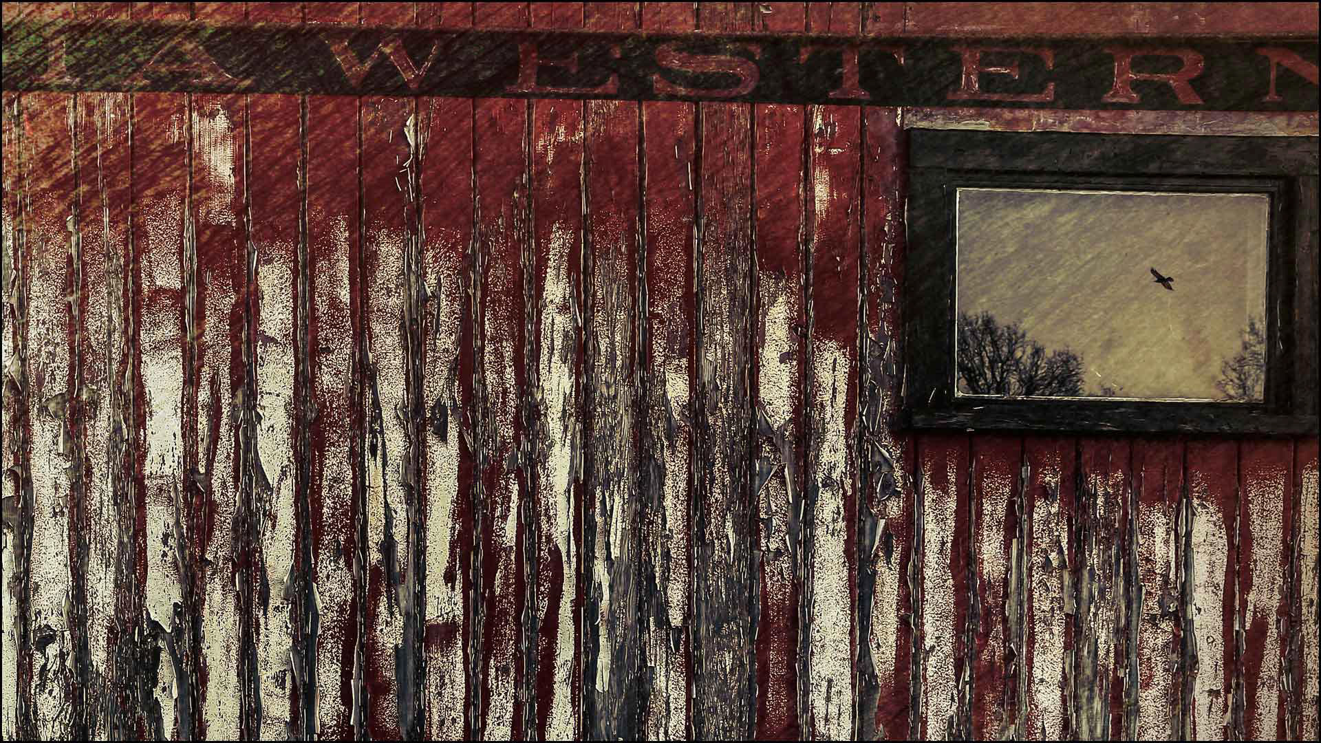 The Last Window