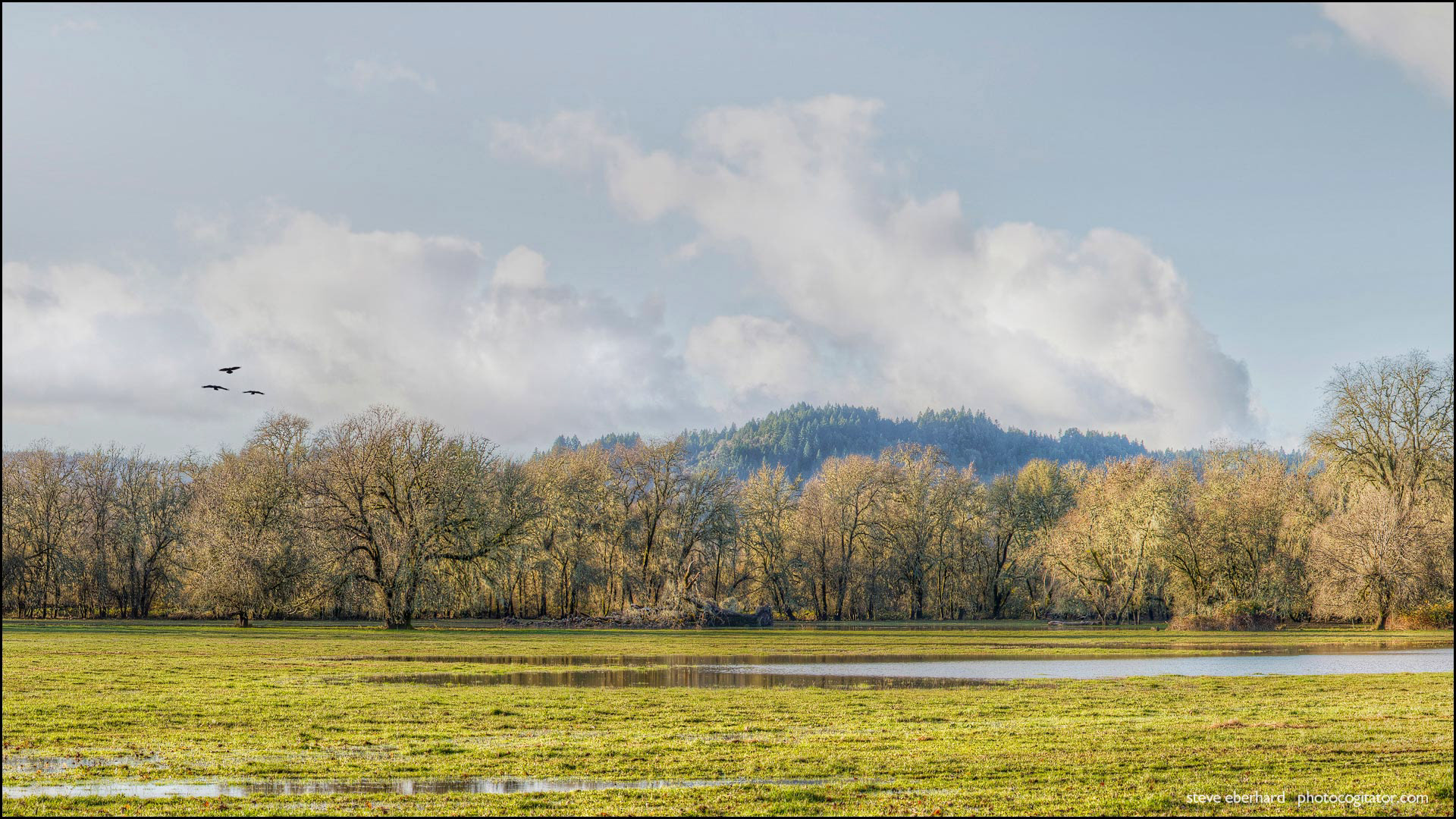 Ford Ranch