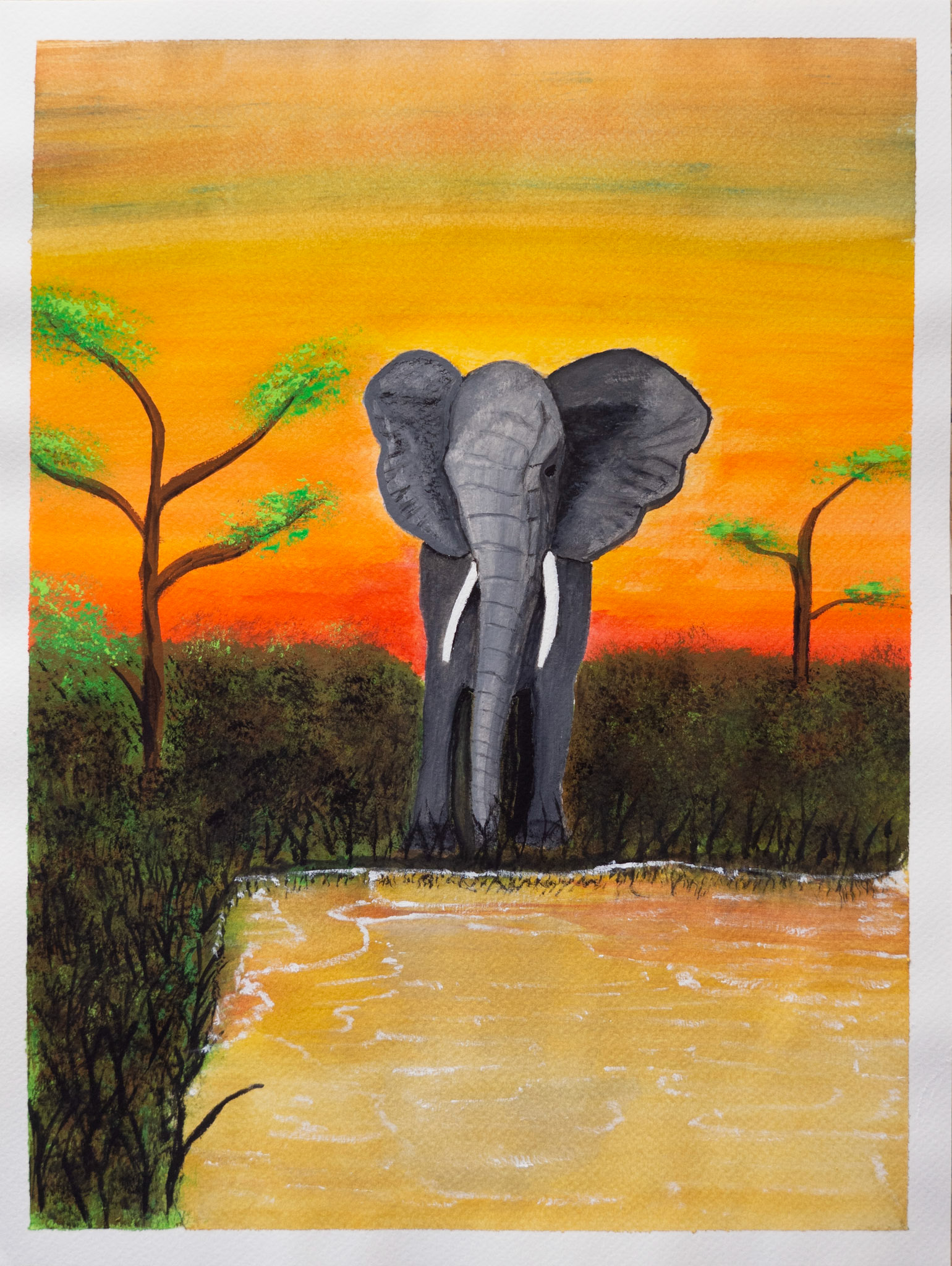 the lonely elephant