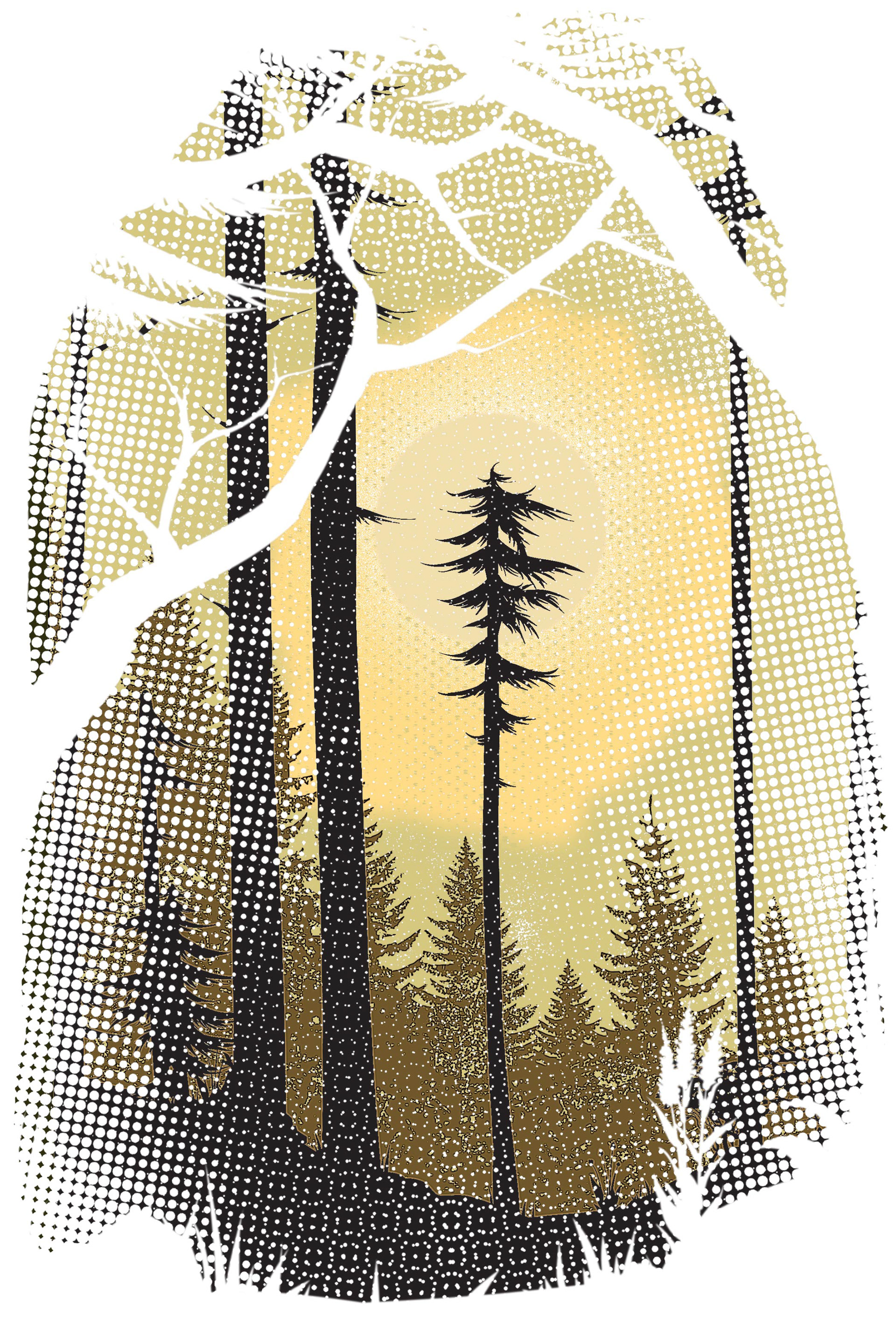 Digital Illustration