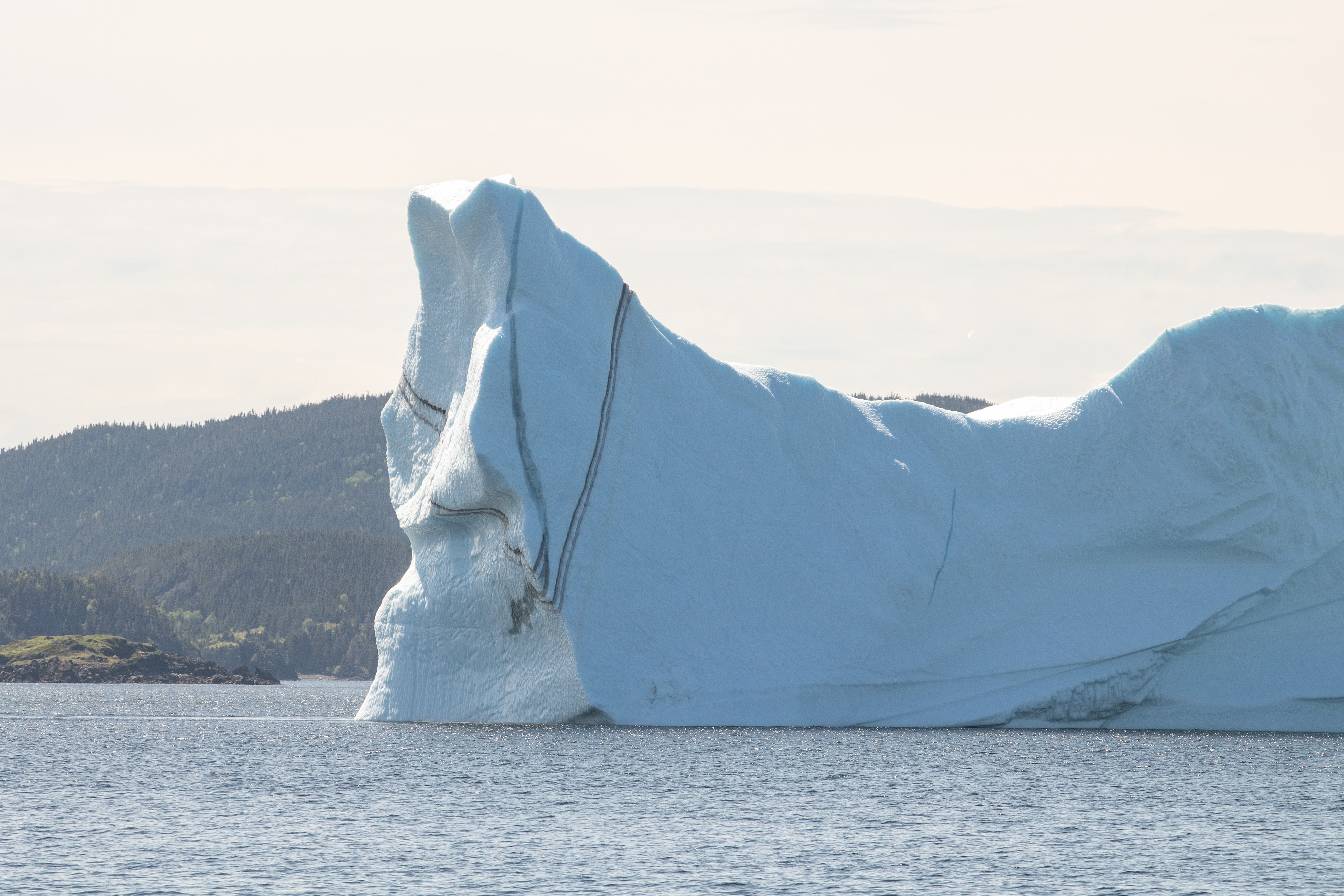 Twillingate Iceberg