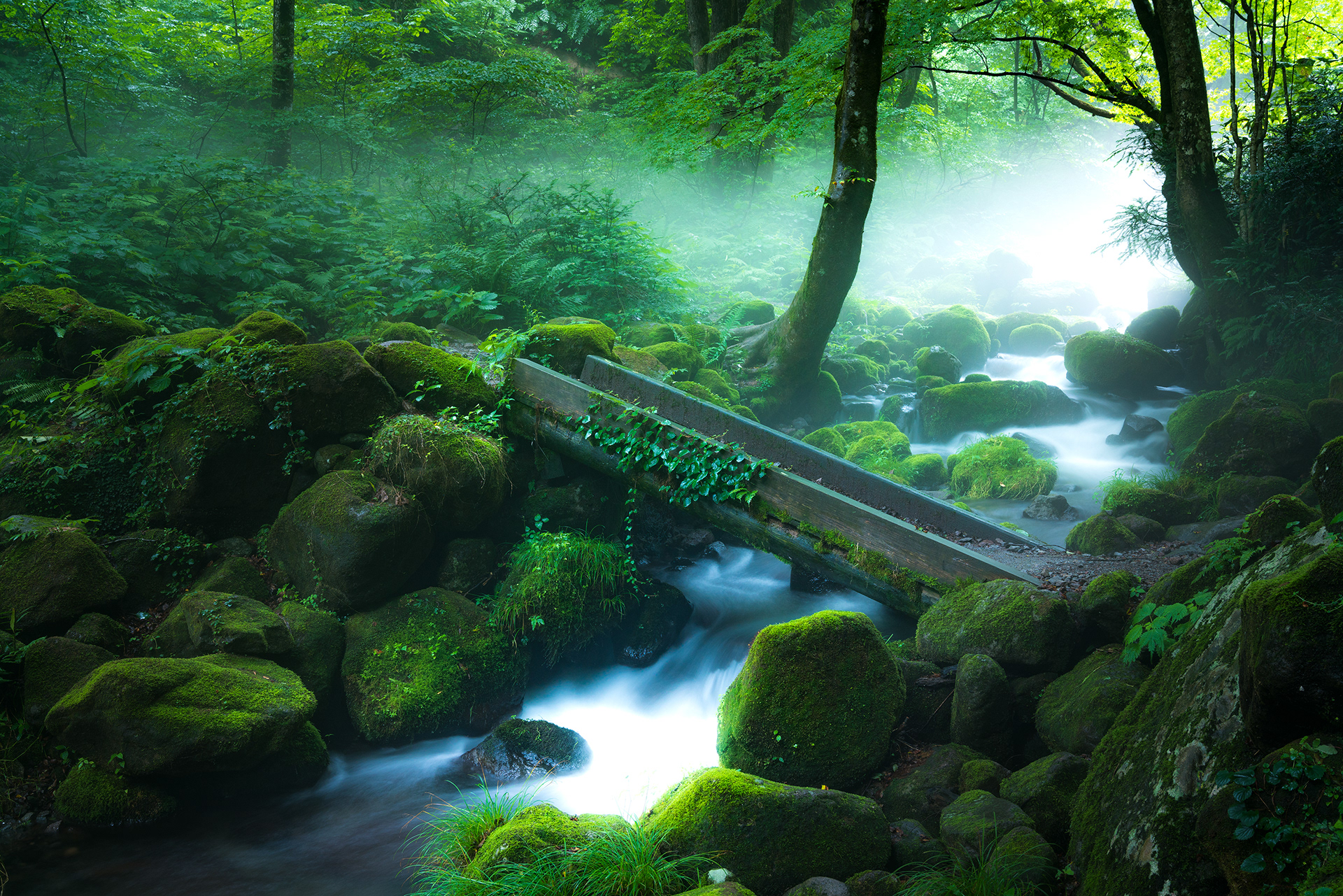 奥大山 木谷沢渓流／鳥取県江府町