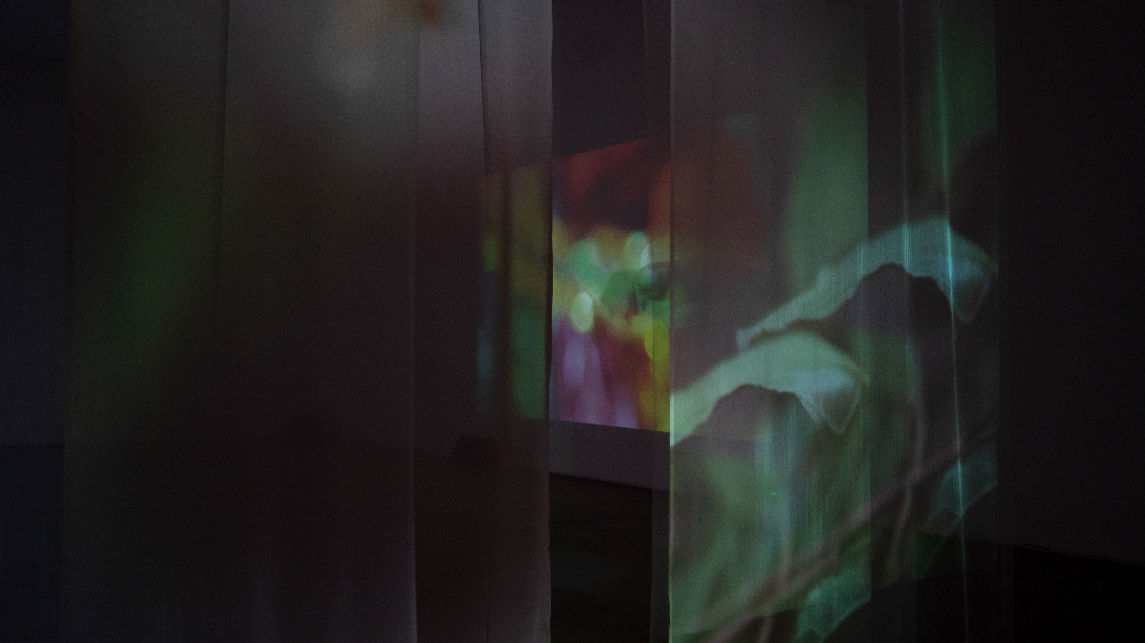 "Sacred Grove," Fabric and video installation, Icebox Project Space, Philadelphia