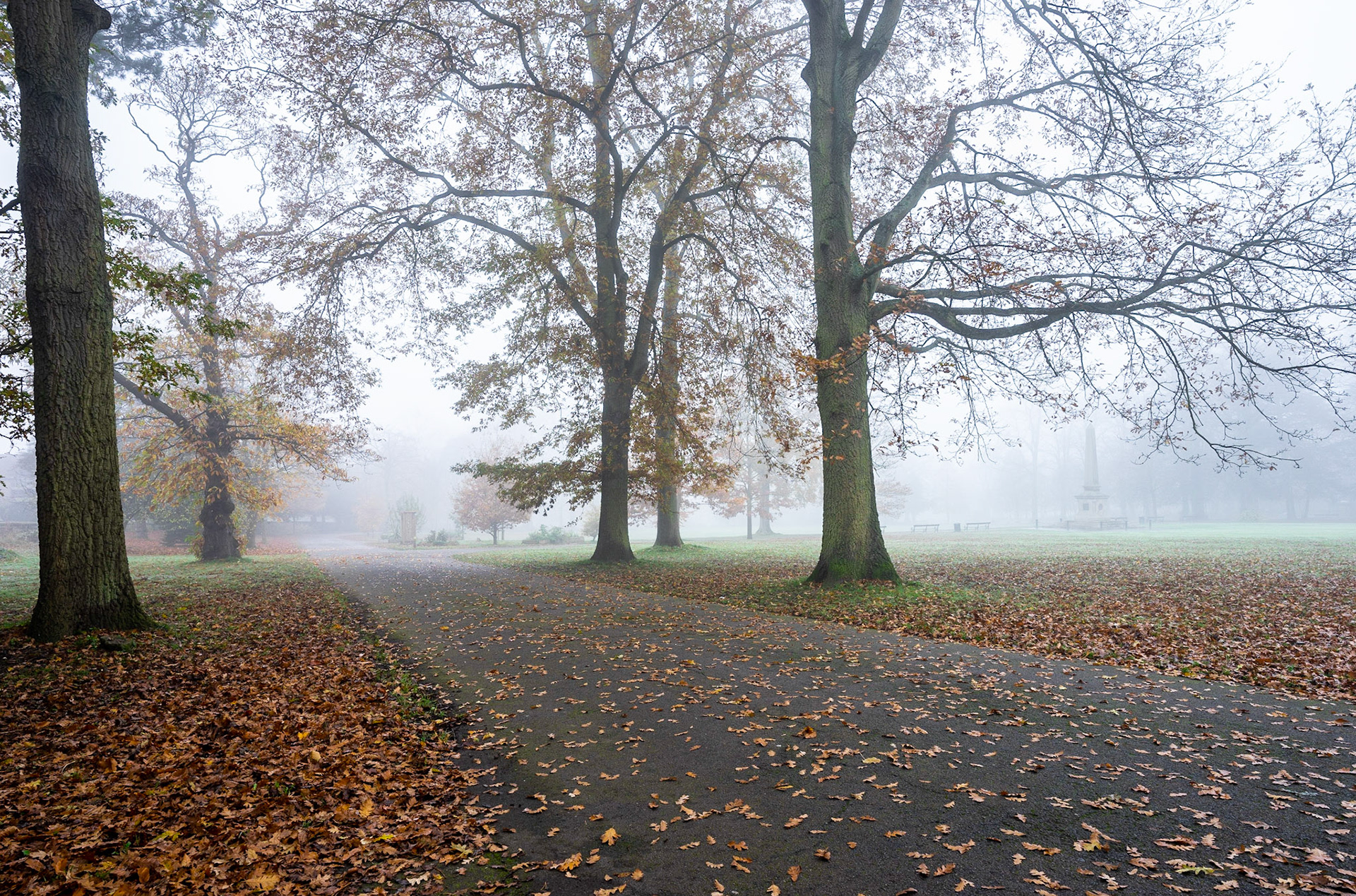 Whitworth Park