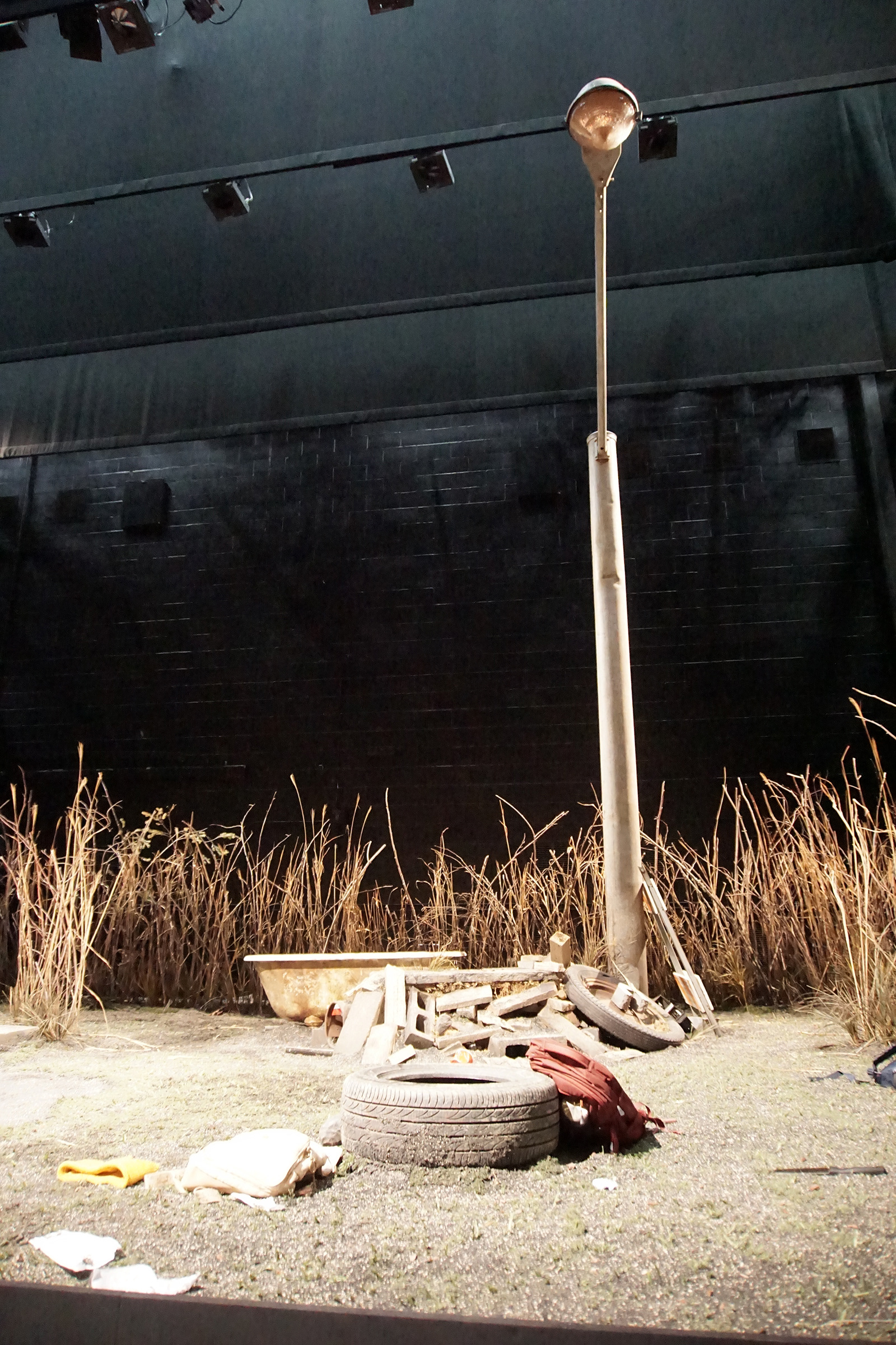 Naturalistic Details (Seattle Rep)