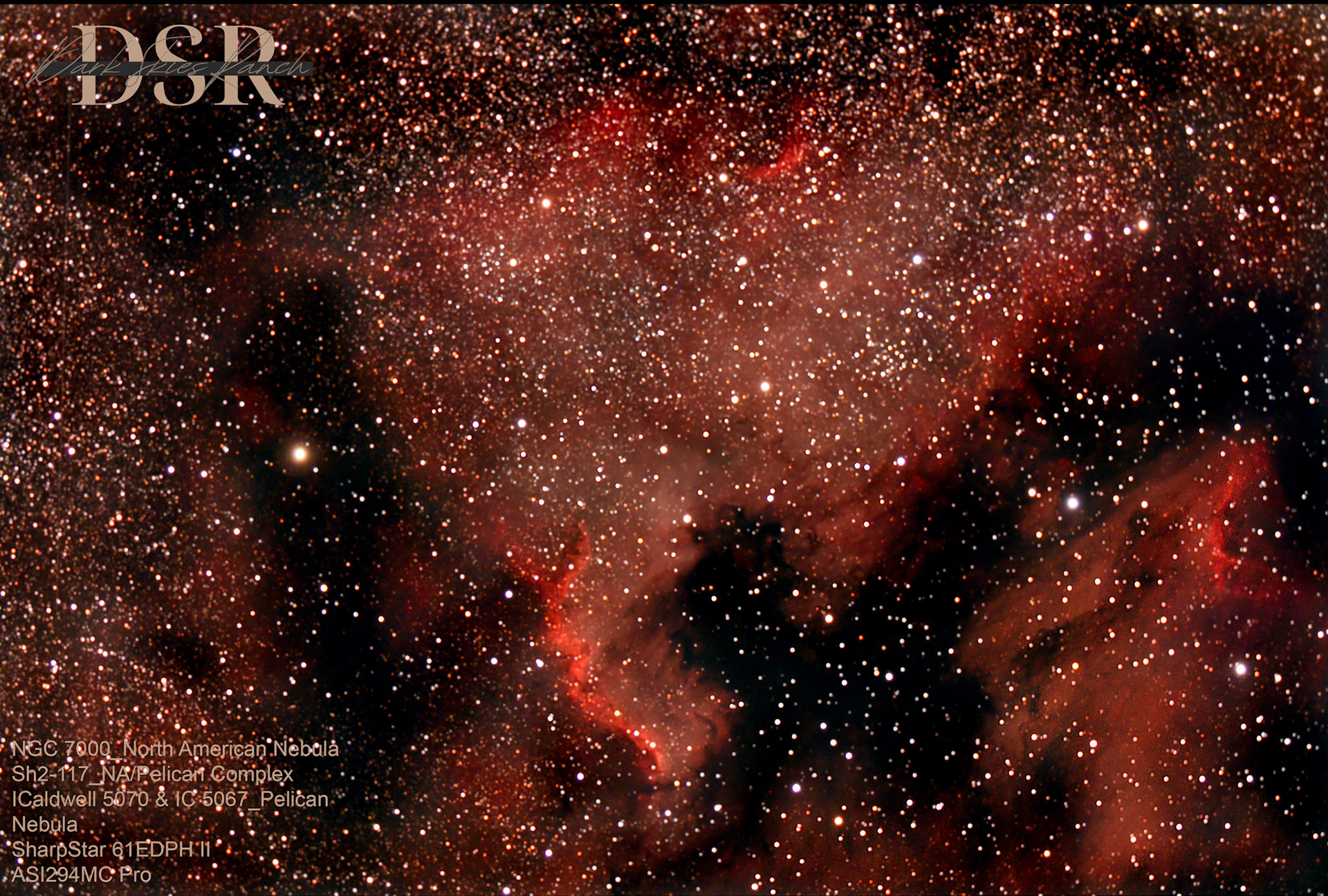 North American and Pelican Nebulae