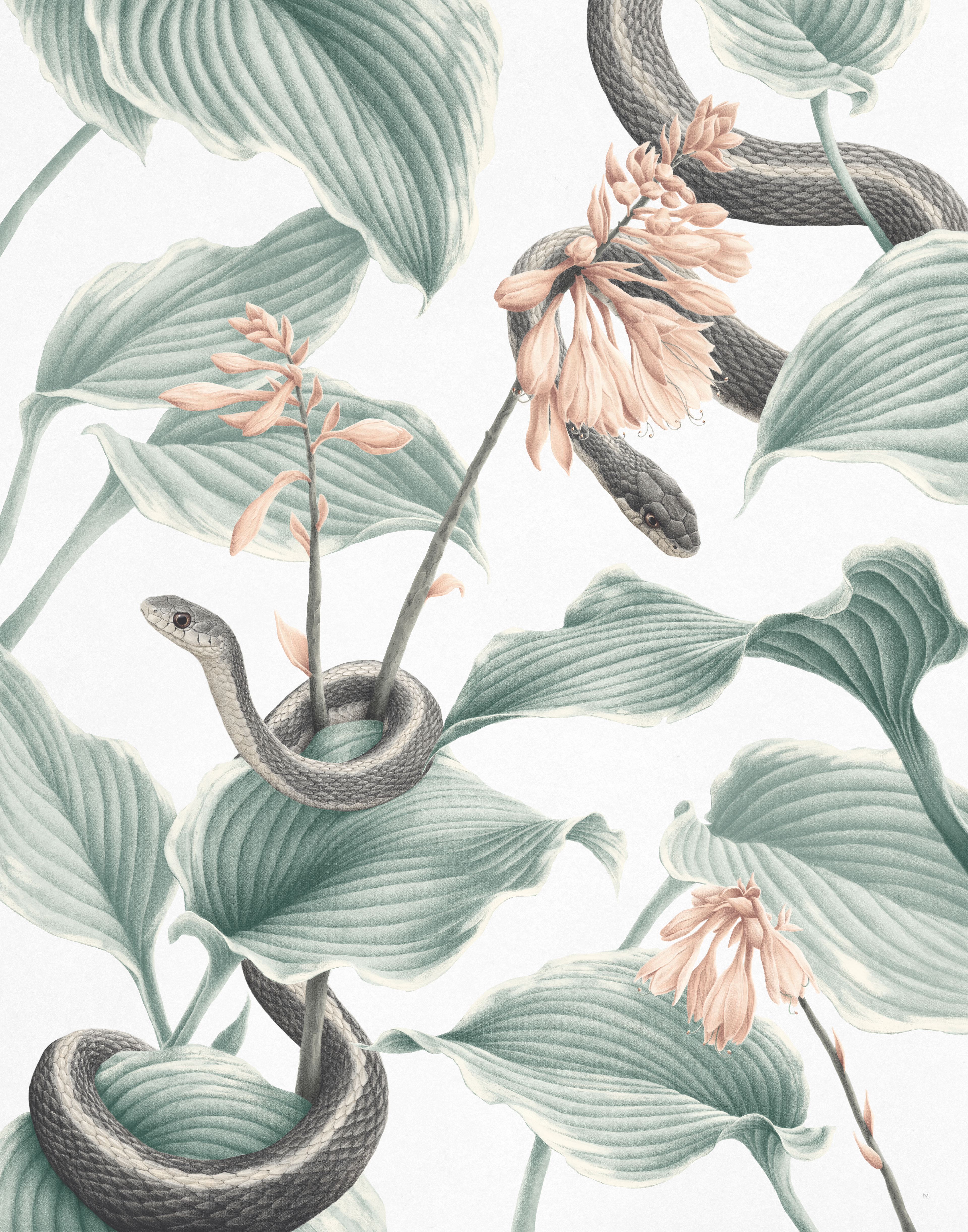 Hosta Garden
