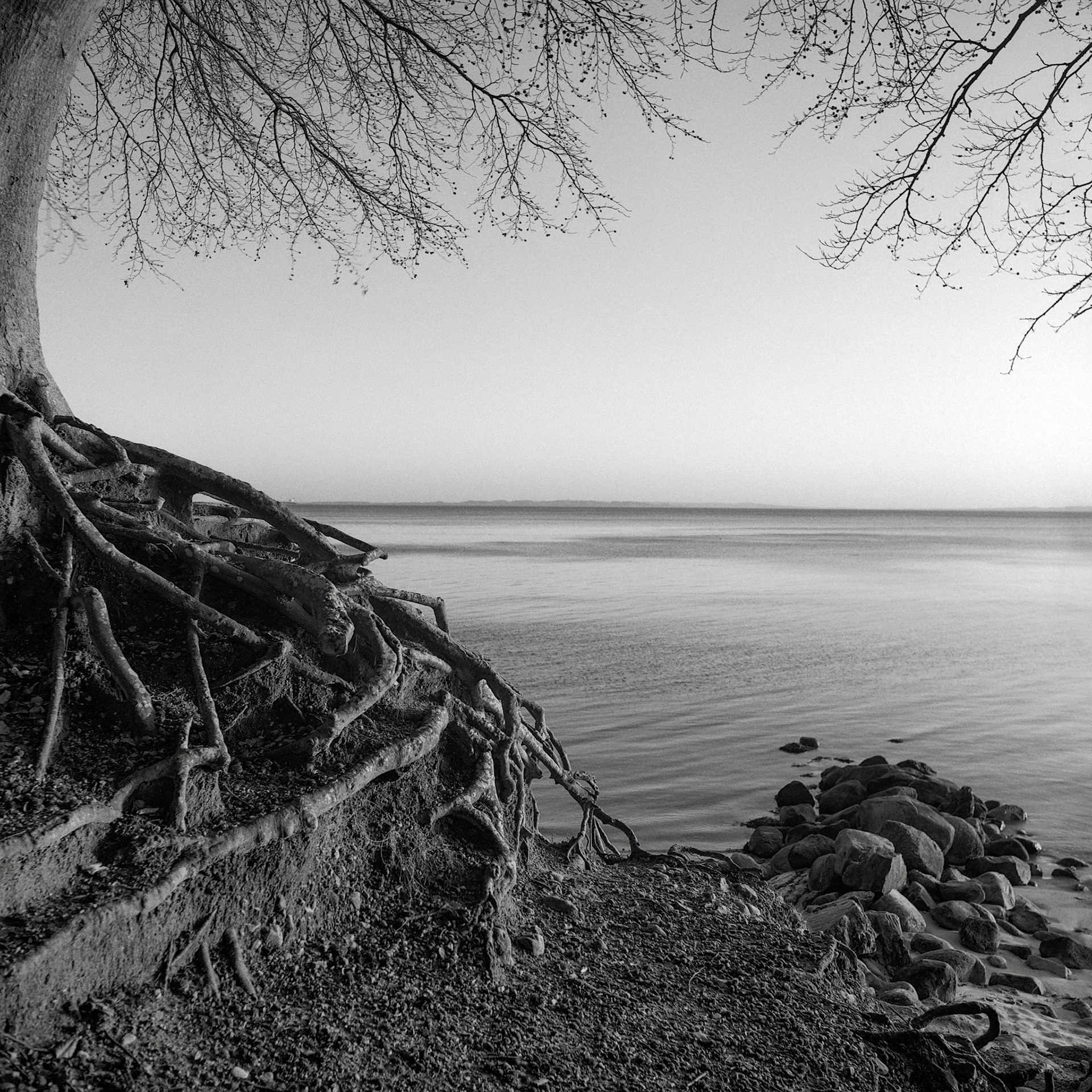 ©Kasper Pihl