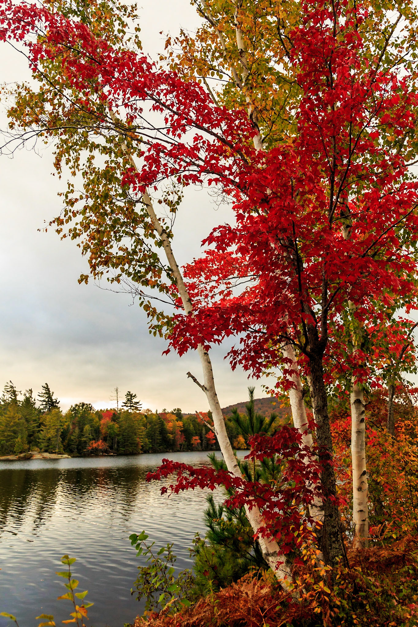 Autumn Lake Durant