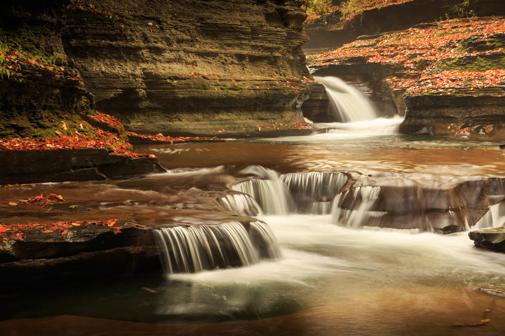 Chocolate and Caramel - the upper gorge trail in Buttermilk Falls State Park