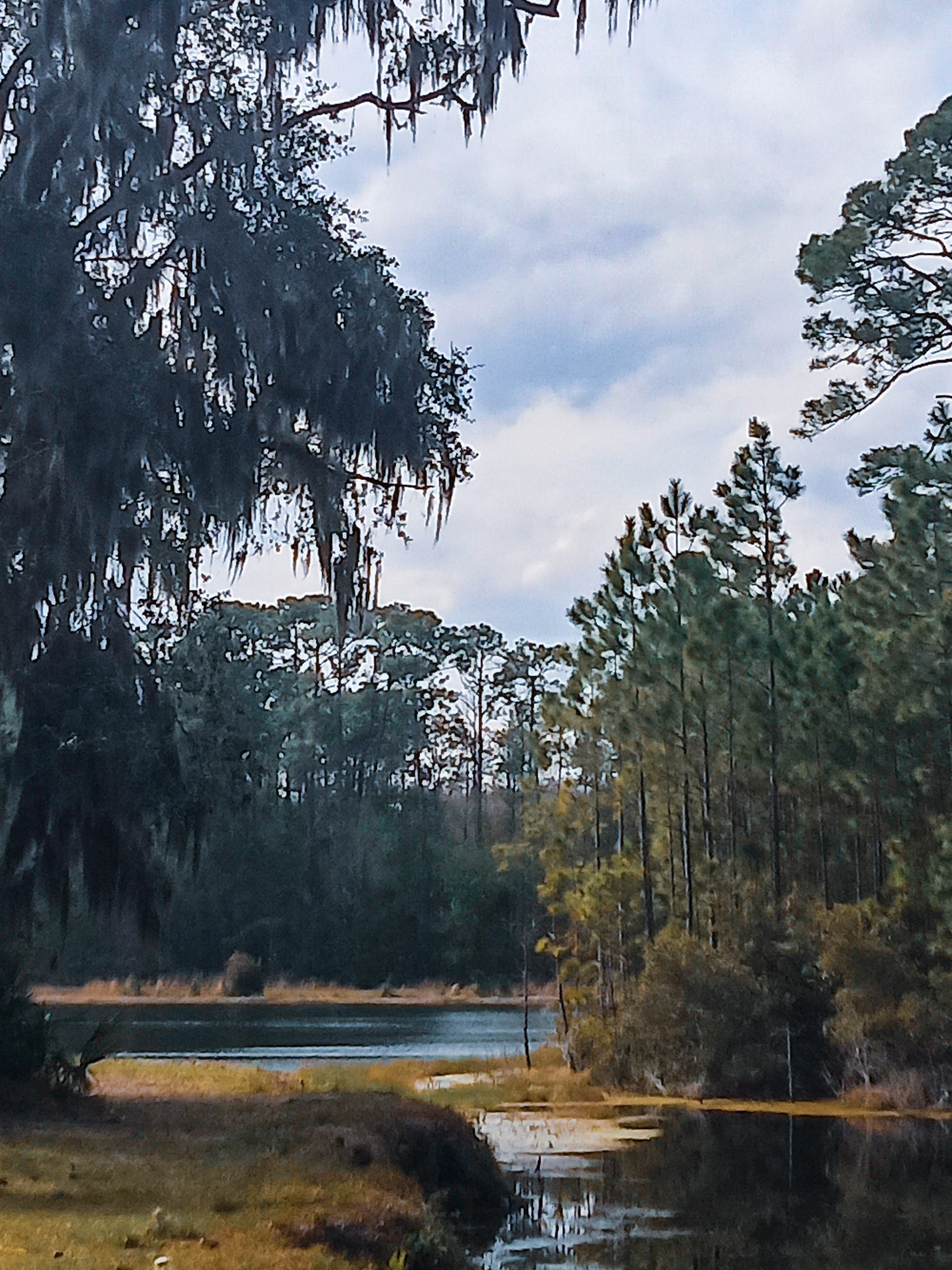 Lake Cindee