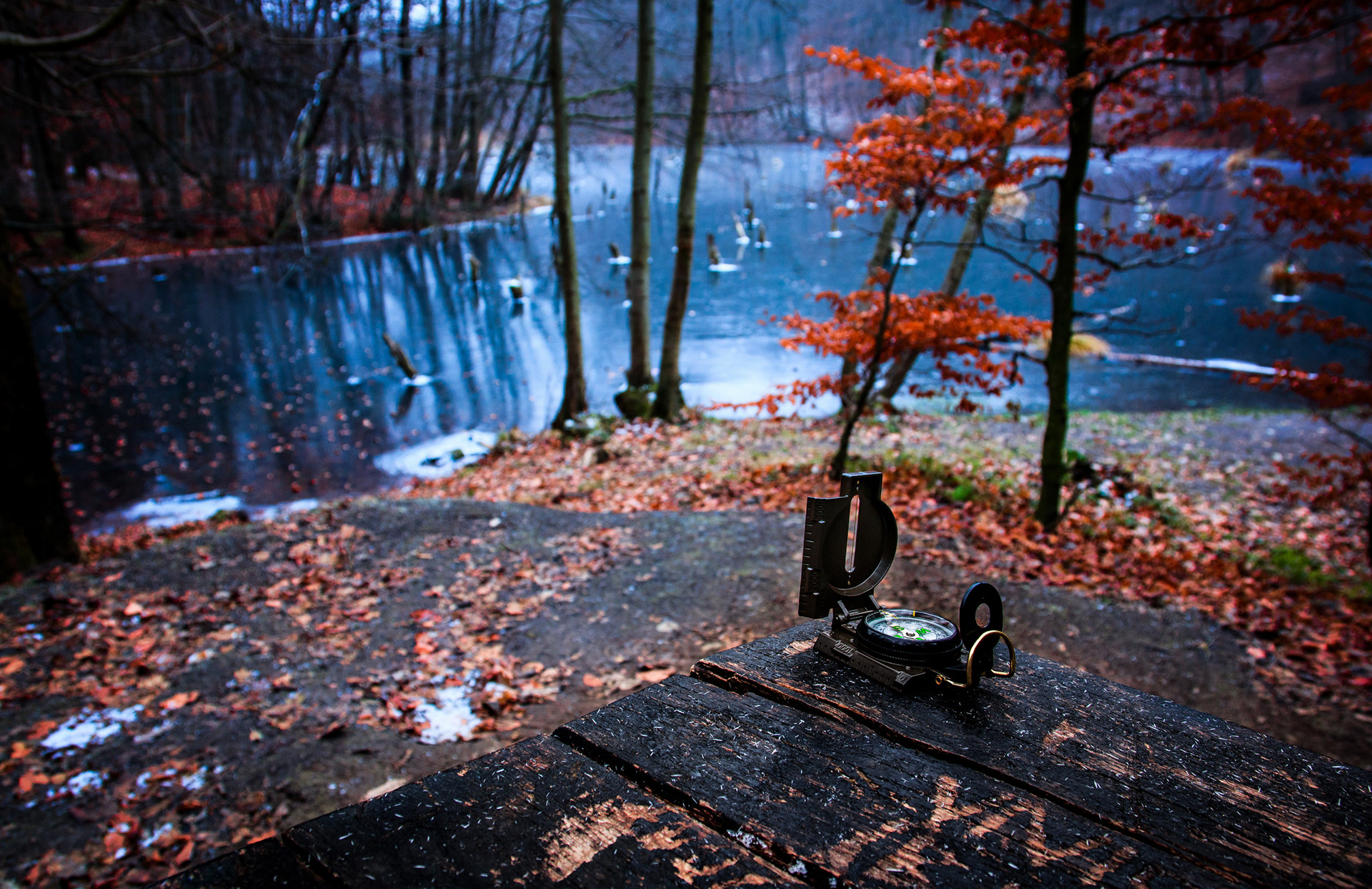 2017 - Bakony - W Hungary