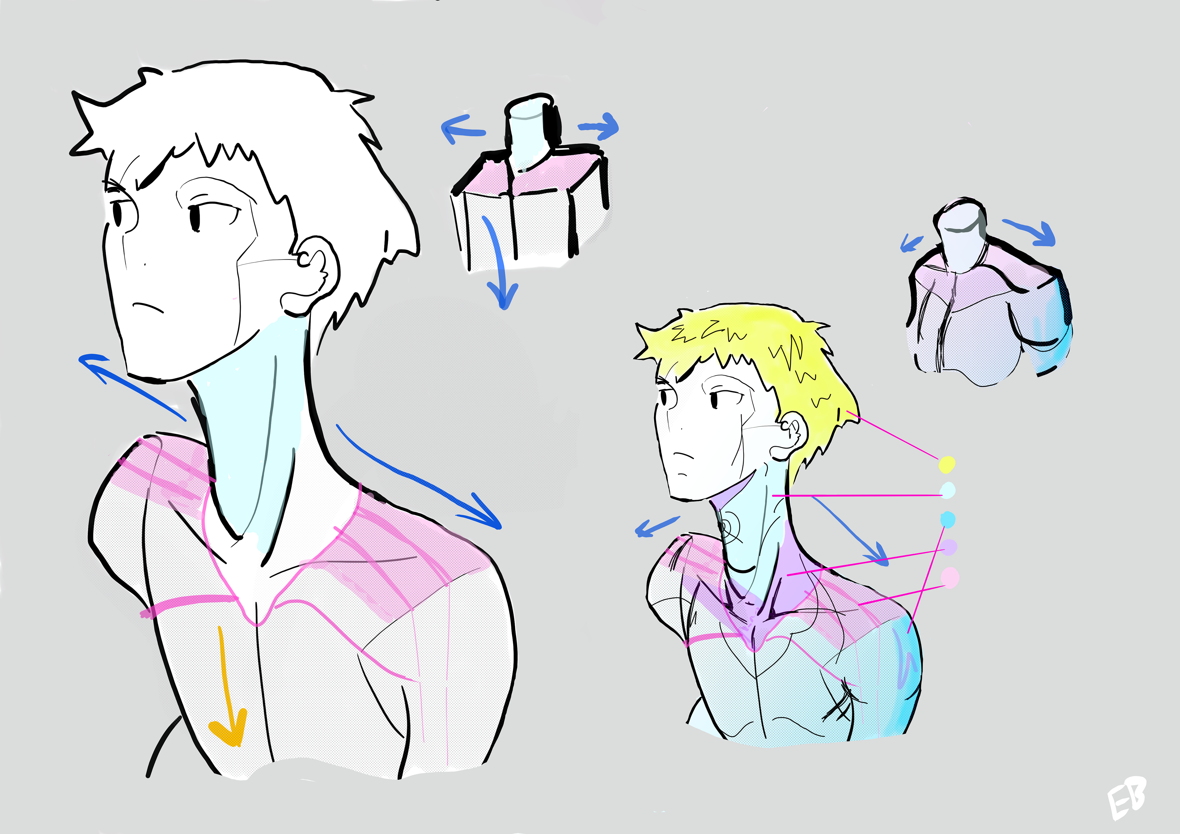 Complete view, with musculature and small reference pieces