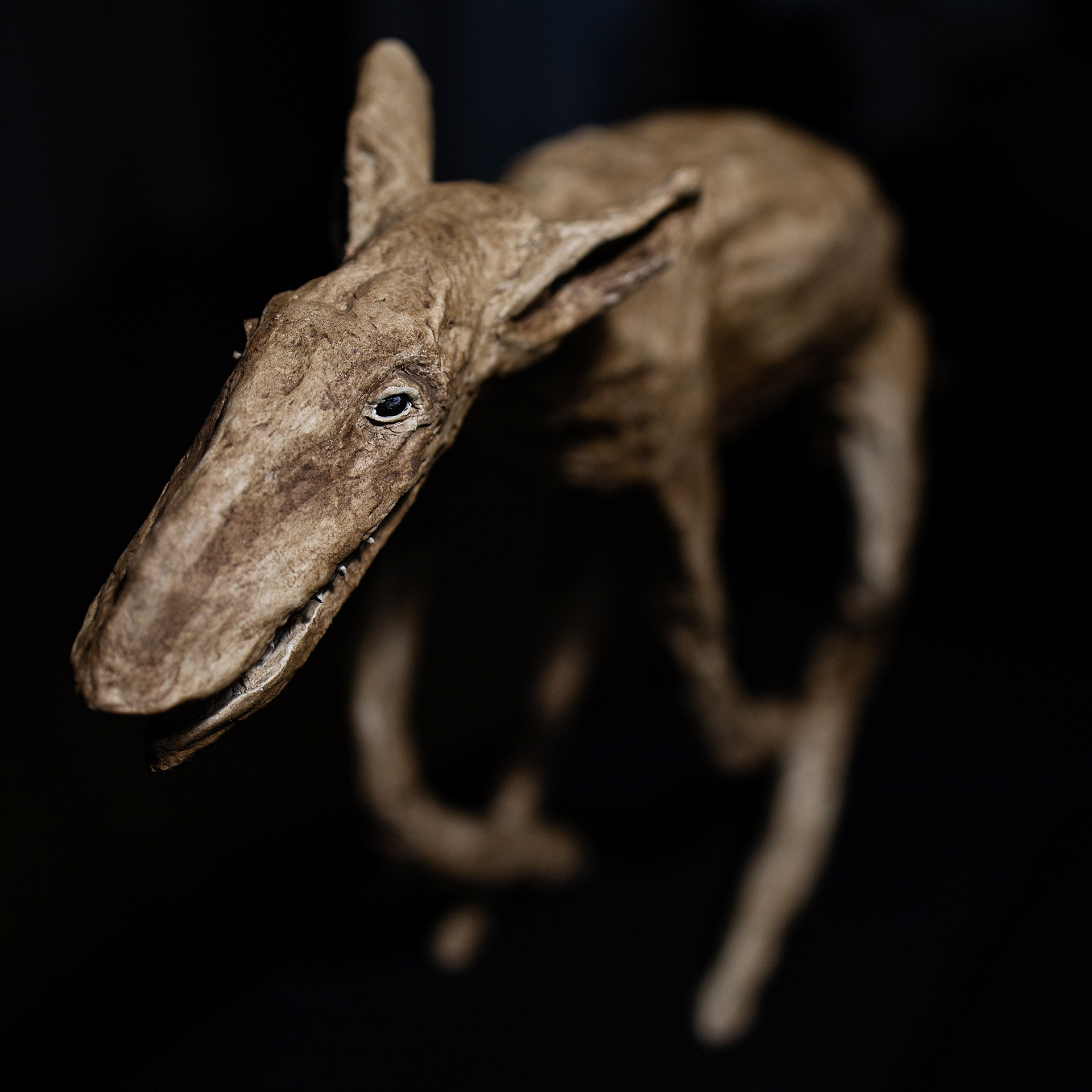 Dog Type Thing