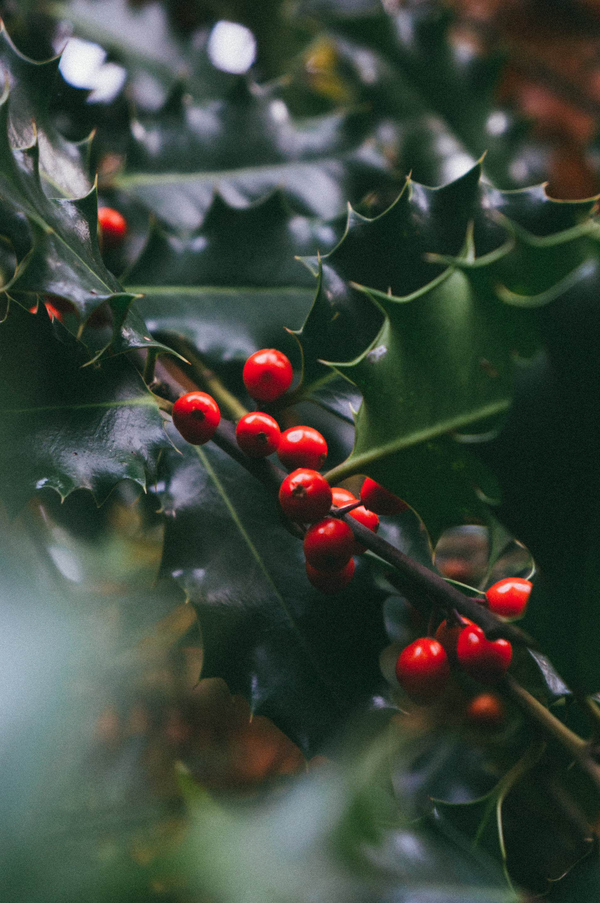 Unsplash/Tobias Tullius